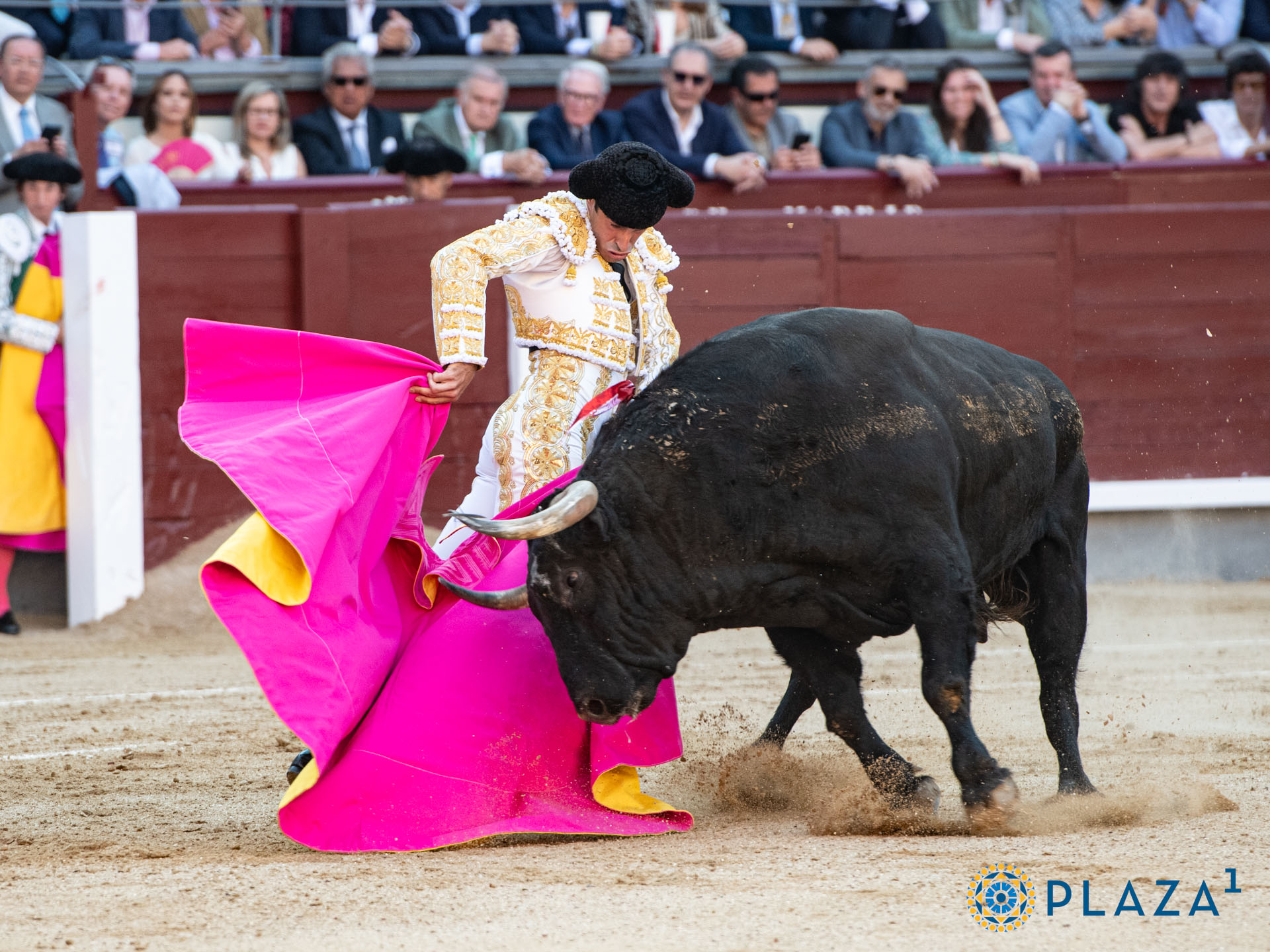 <p>Foto: Alfredo Arévalo / Plaza 1</p>
