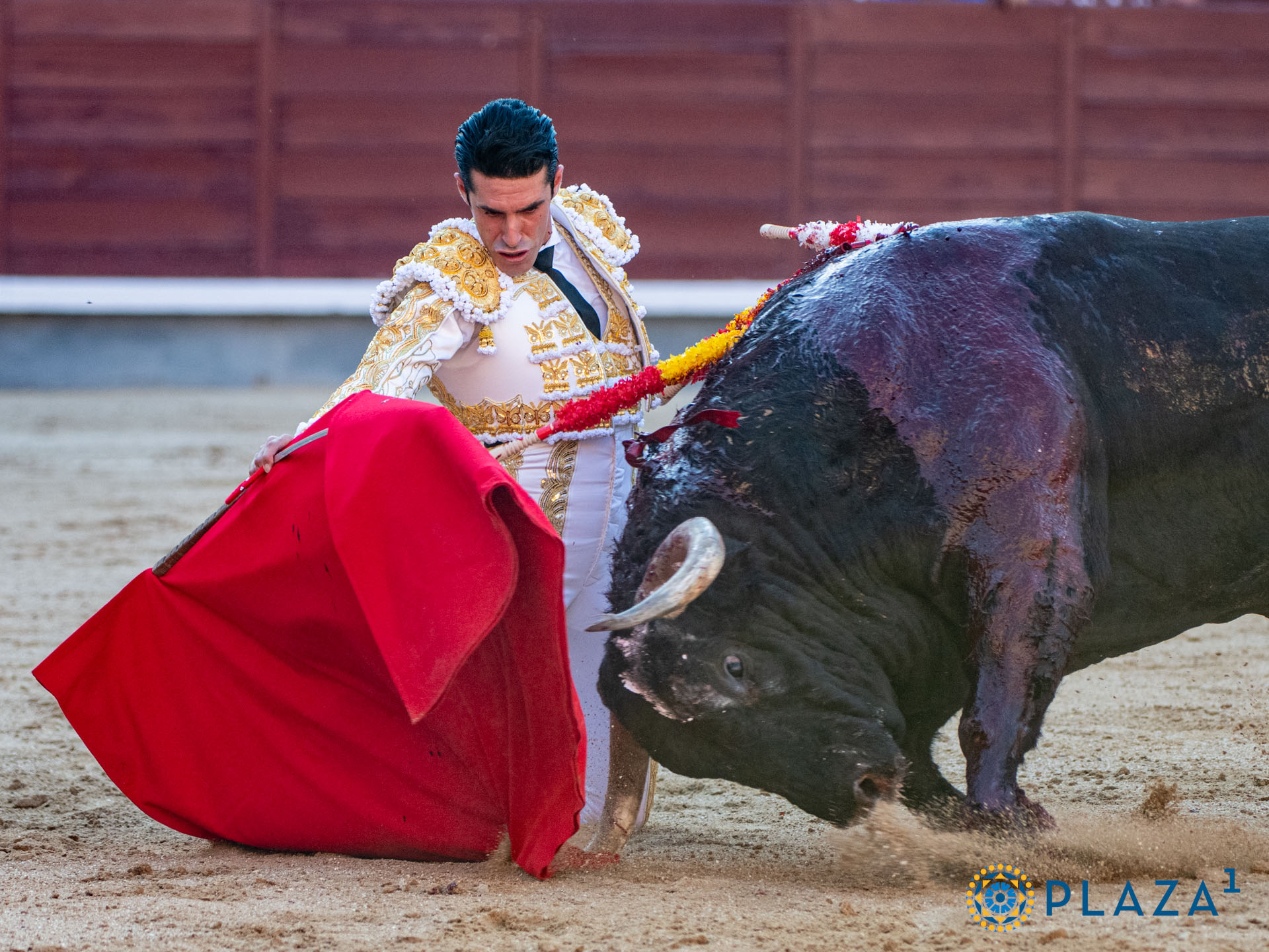 <p>Foto: Alfredo Arévalo / Plaza 1</p>