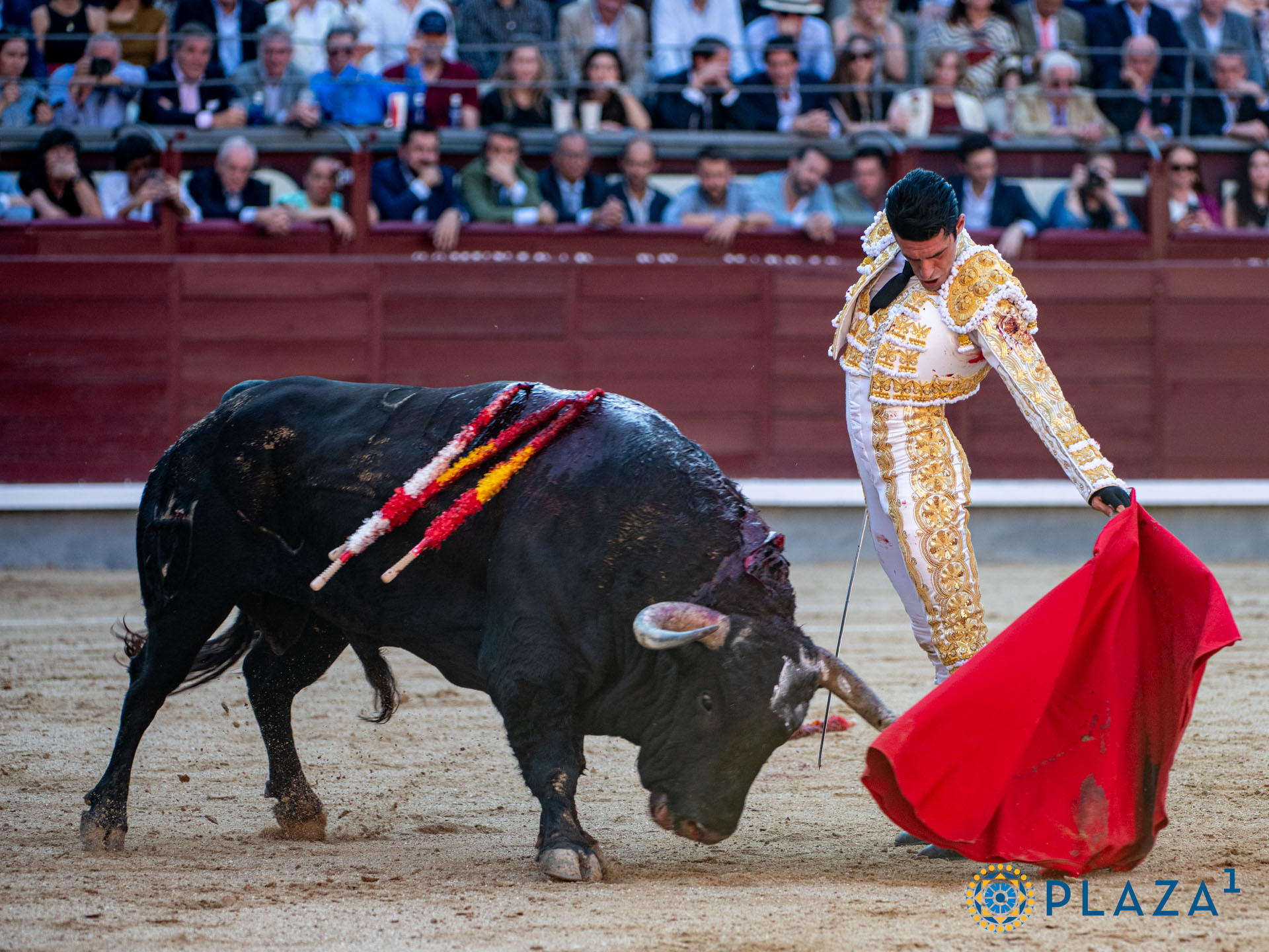 <p>Foto: Alfredo Arévalo / Plaza 1</p>