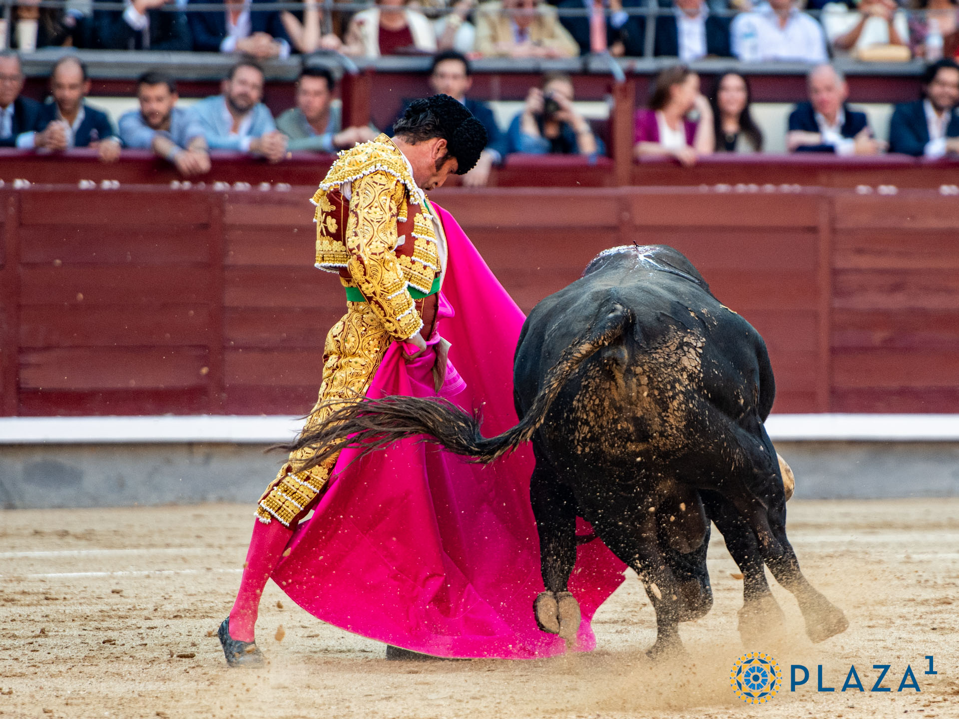 <p>Foto: Alfredo Arévalo / Plaza 1</p>