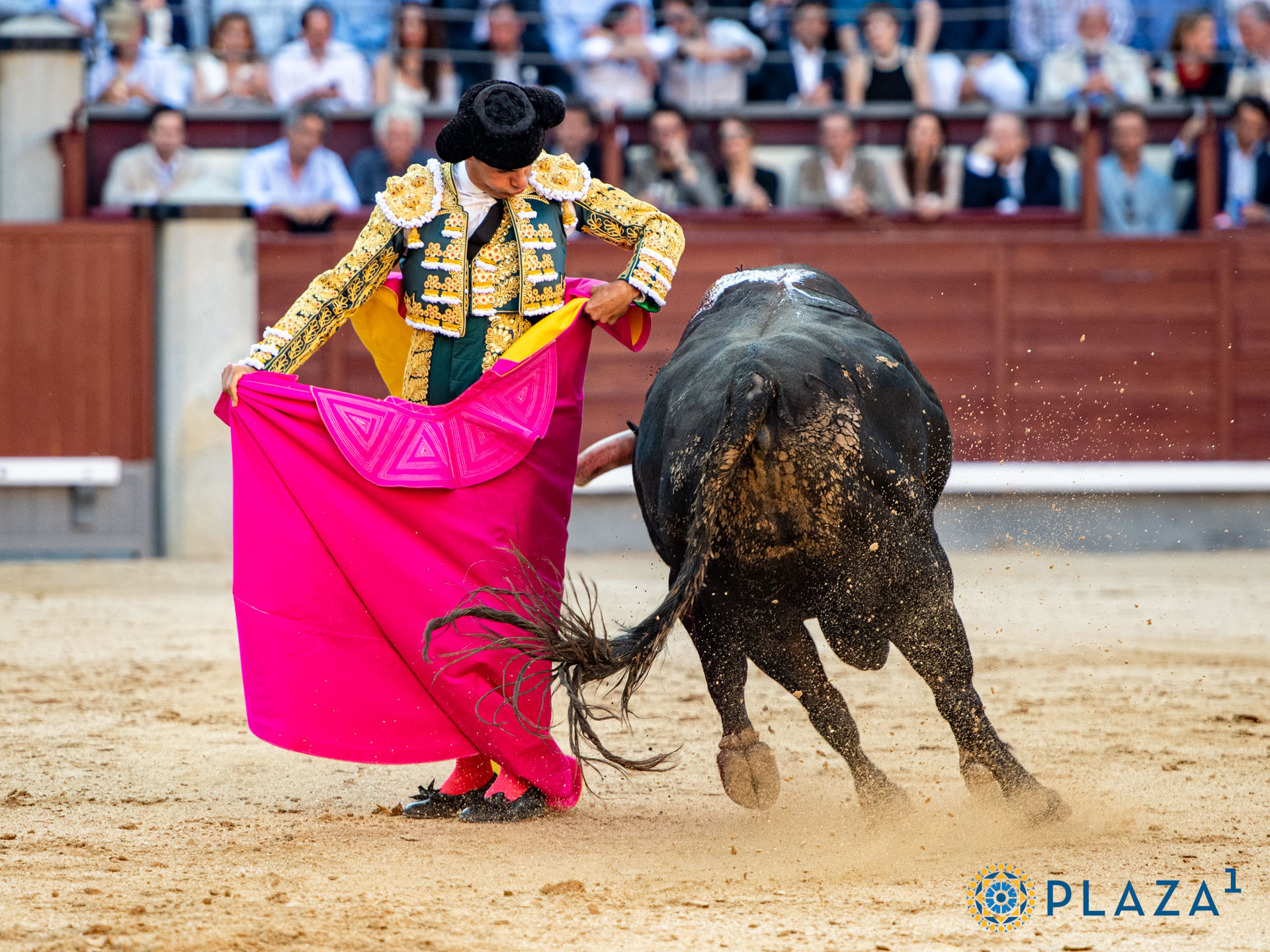 <p>Foto: Alfredo Arévalo / Plaza 1</p>
