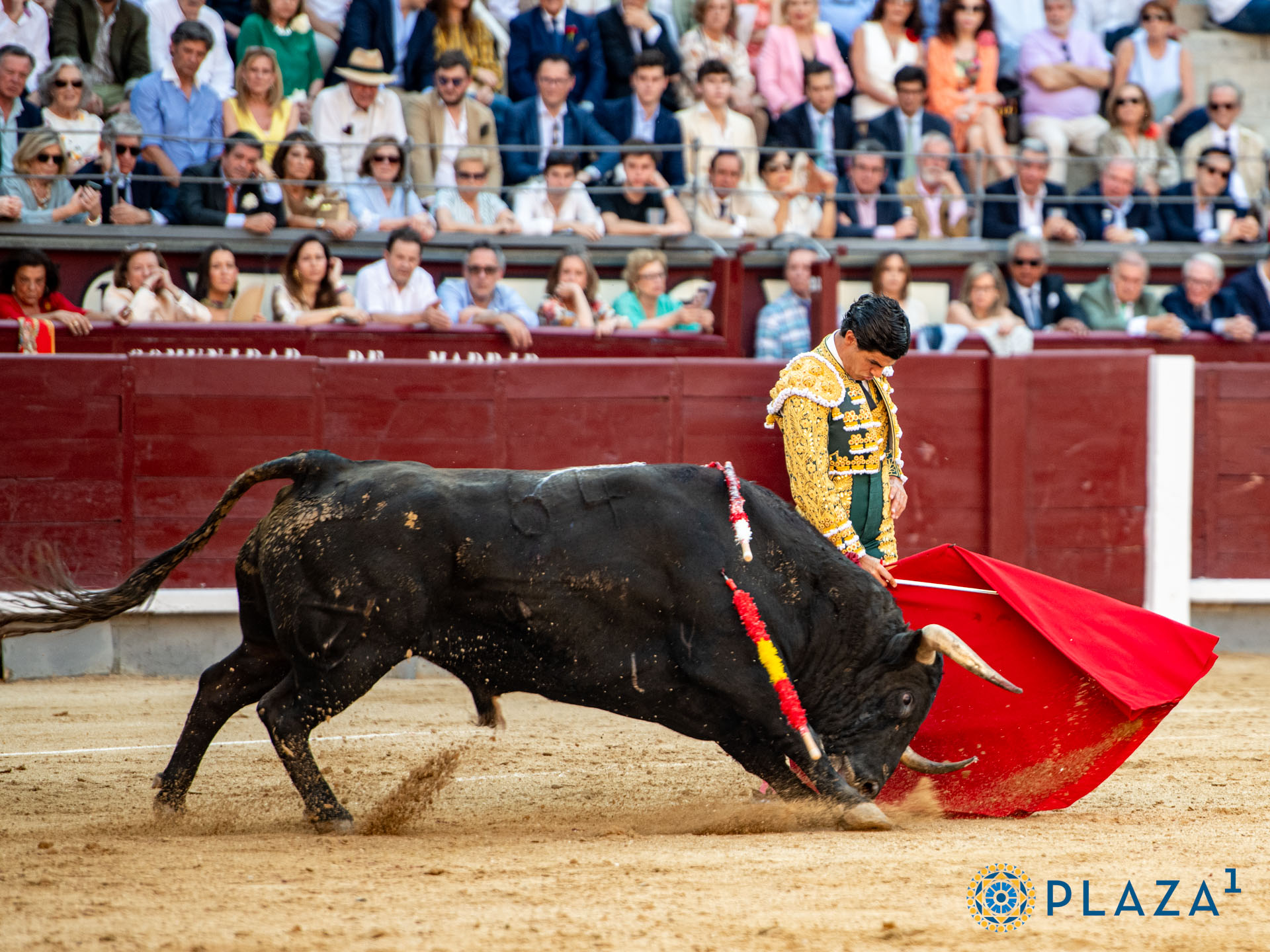 <p>Foto: Alfredo Arévalo / Plaza 1</p>