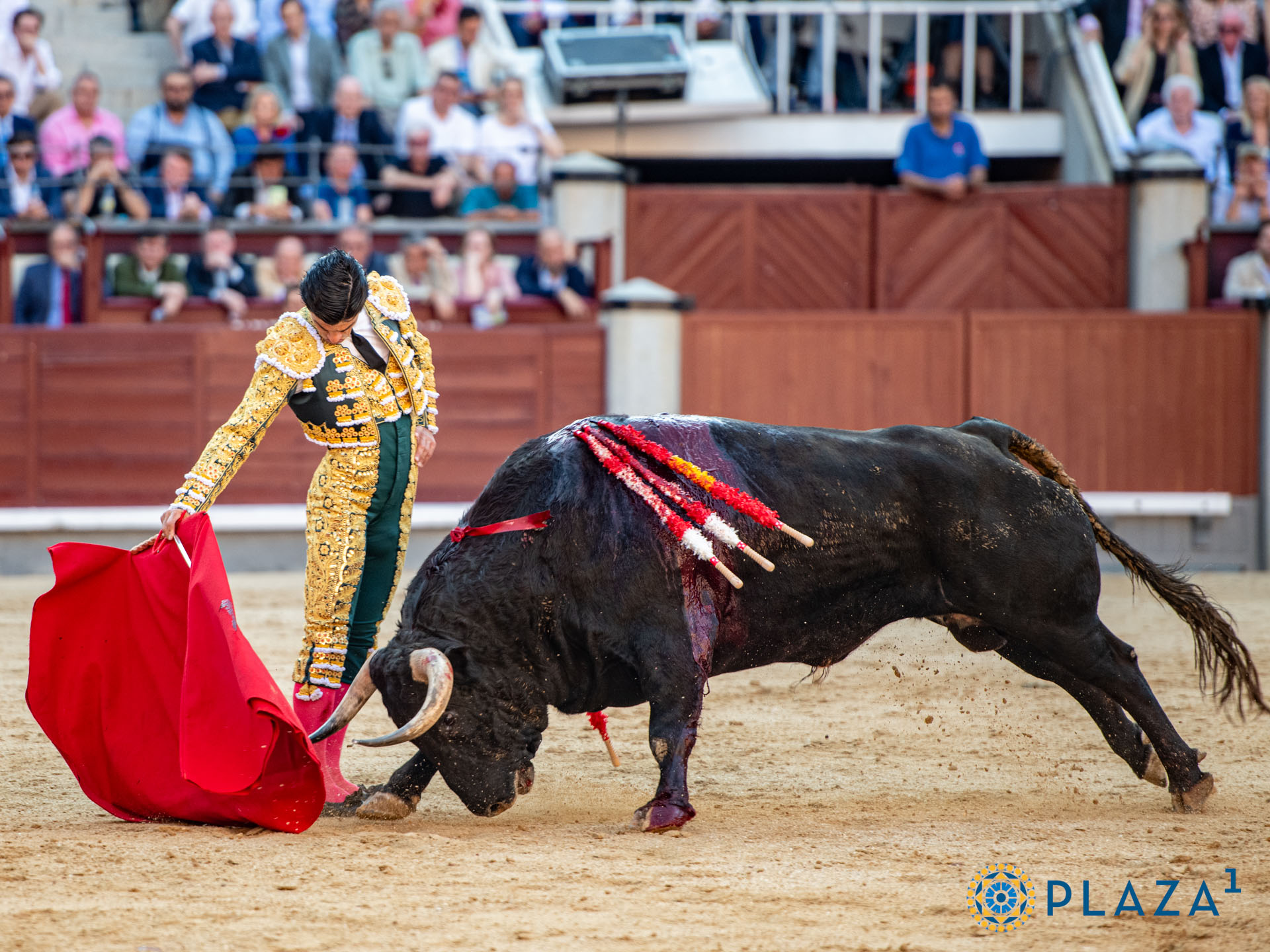<p>Foto: Alfredo Arévalo / Plaza 1</p>