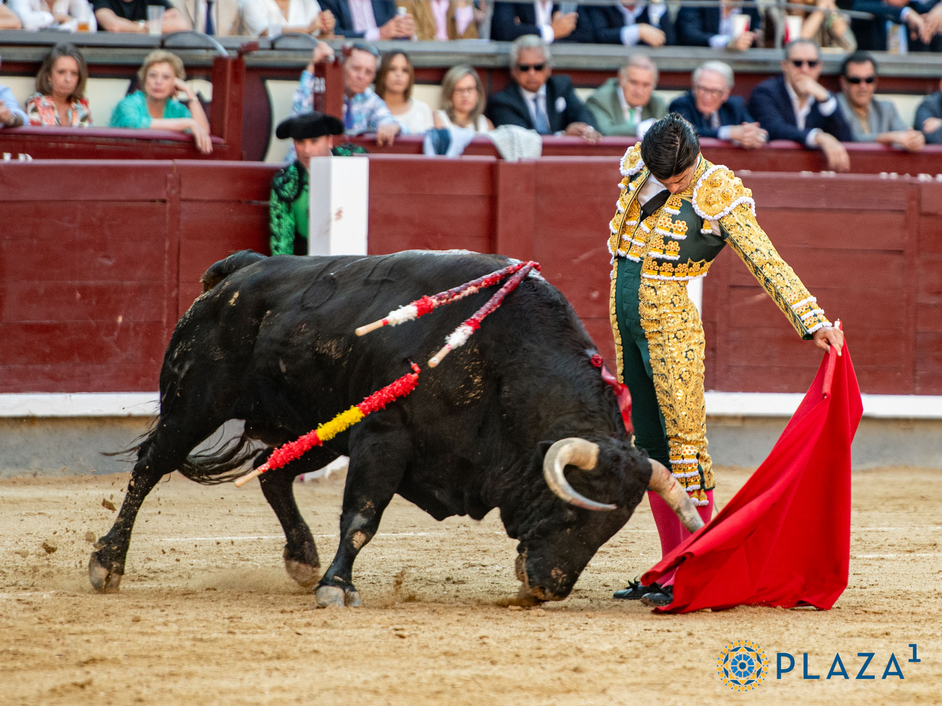 <p>Foto: Alfredo Arévalo / Plaza 1</p>