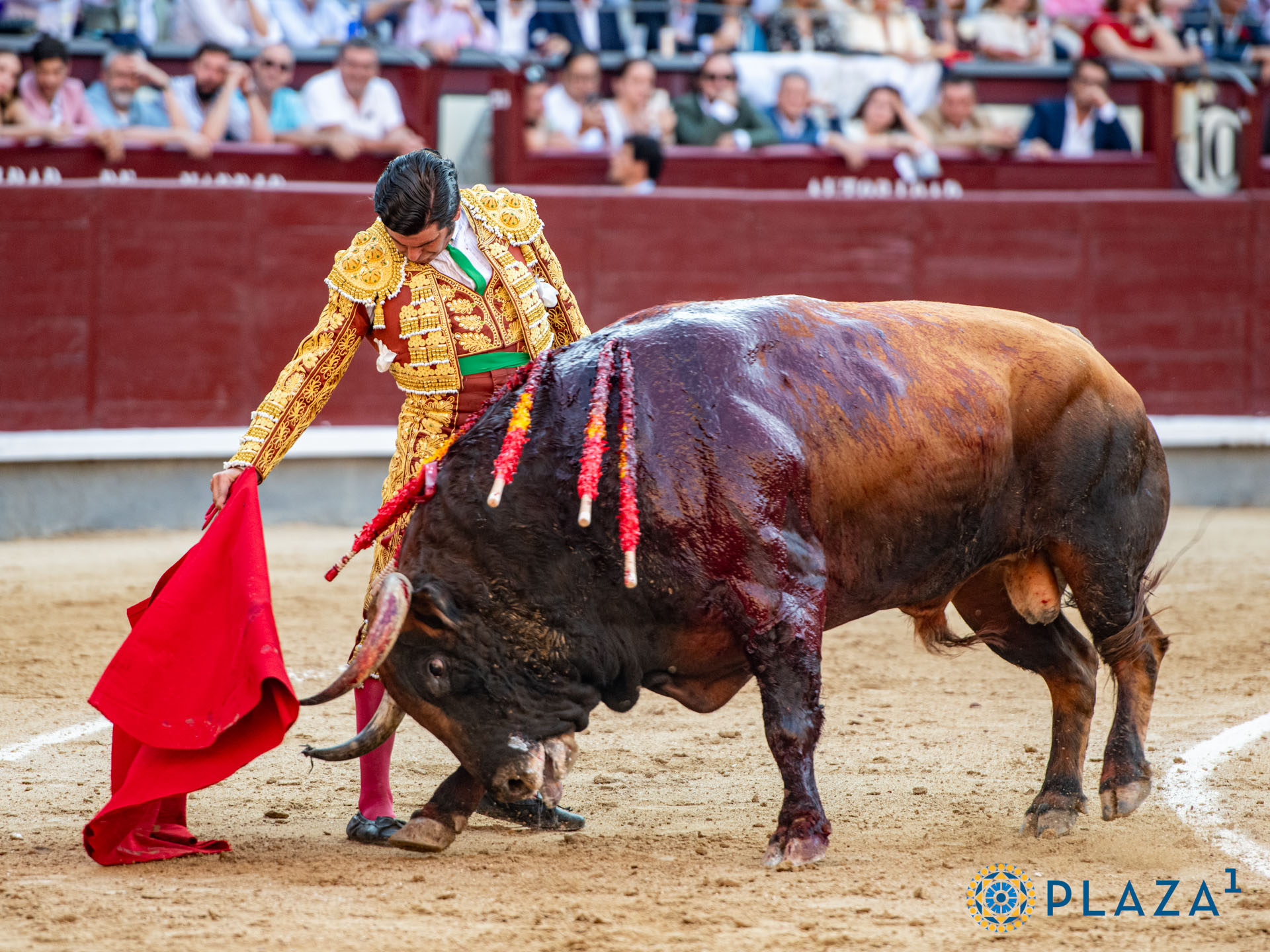 <p>Foto: Alfredo Arévalo / Plaza 1</p>