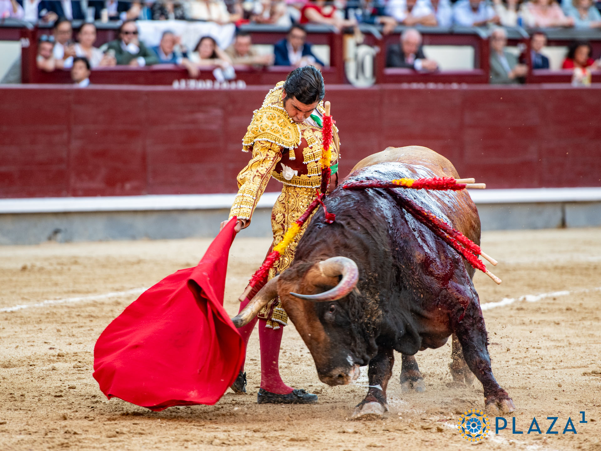 <p>Foto: Alfredo Arévalo / Plaza 1</p>