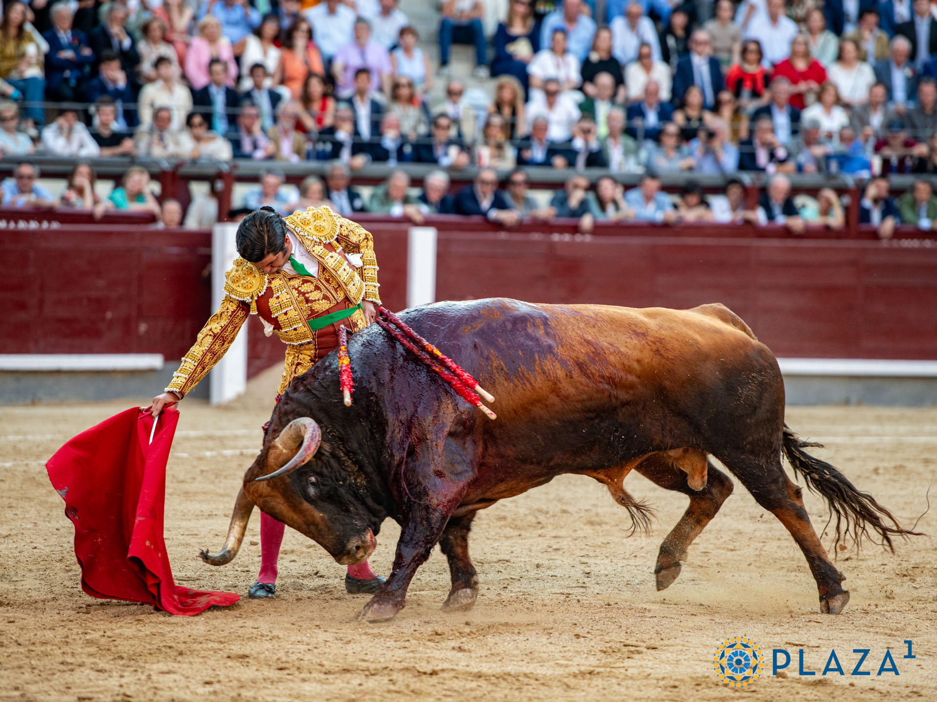 <p>Foto: Alfredo Arévalo / Plaza 1</p>