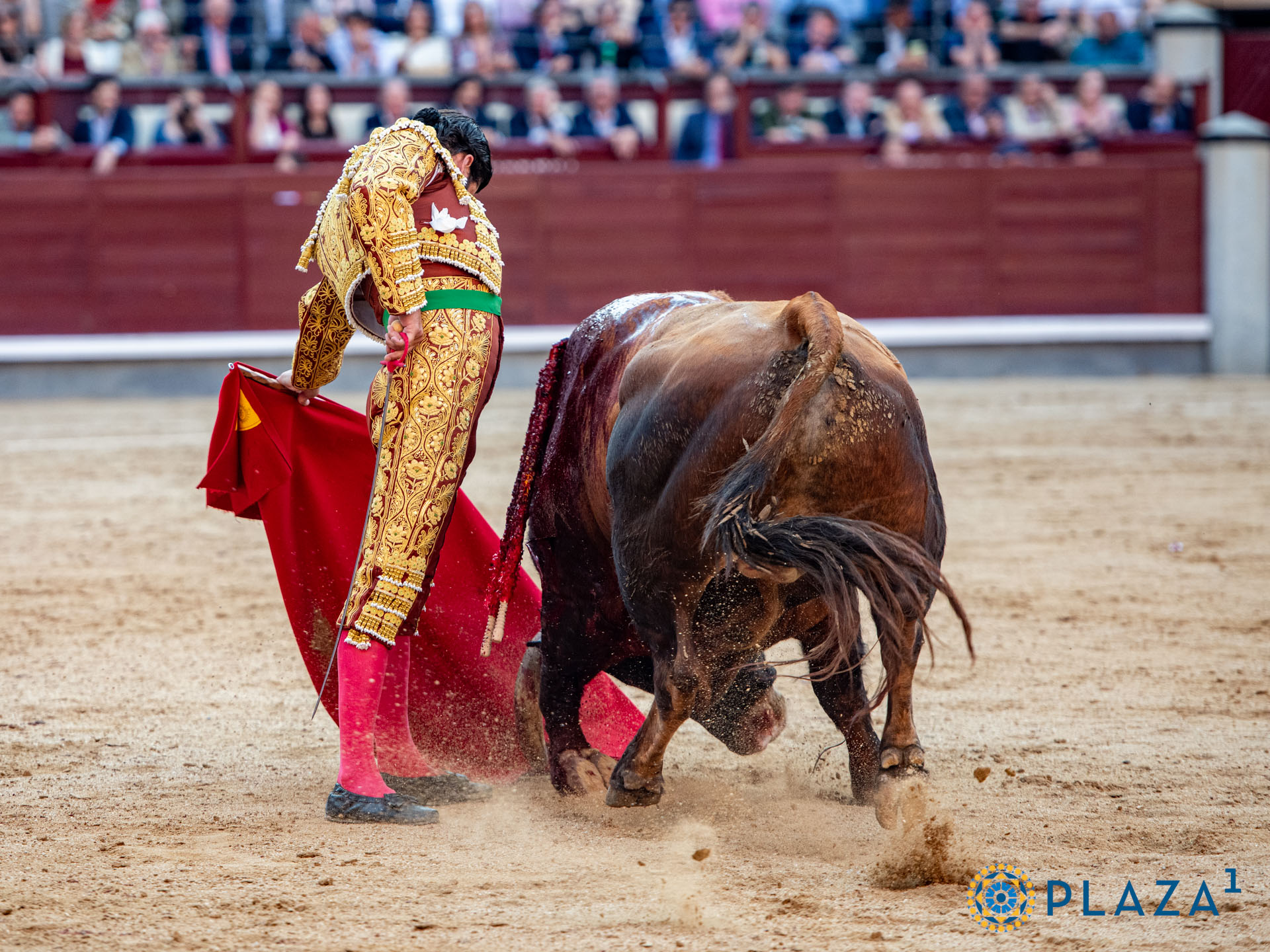 <p>Foto: Alfredo Arévalo / Plaza 1</p>