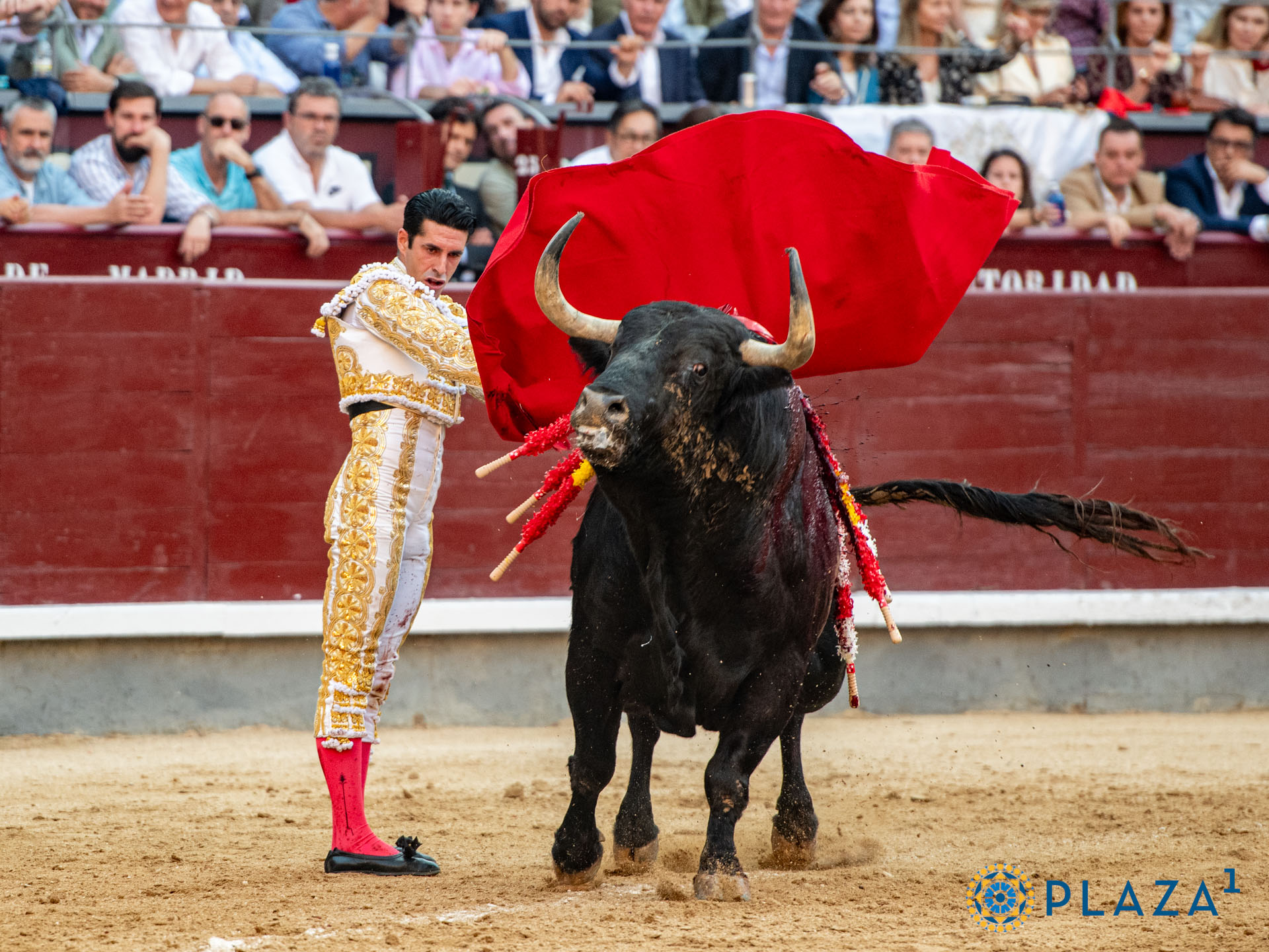 <p>Foto: Alfredo Arévalo / Plaza 1</p>
