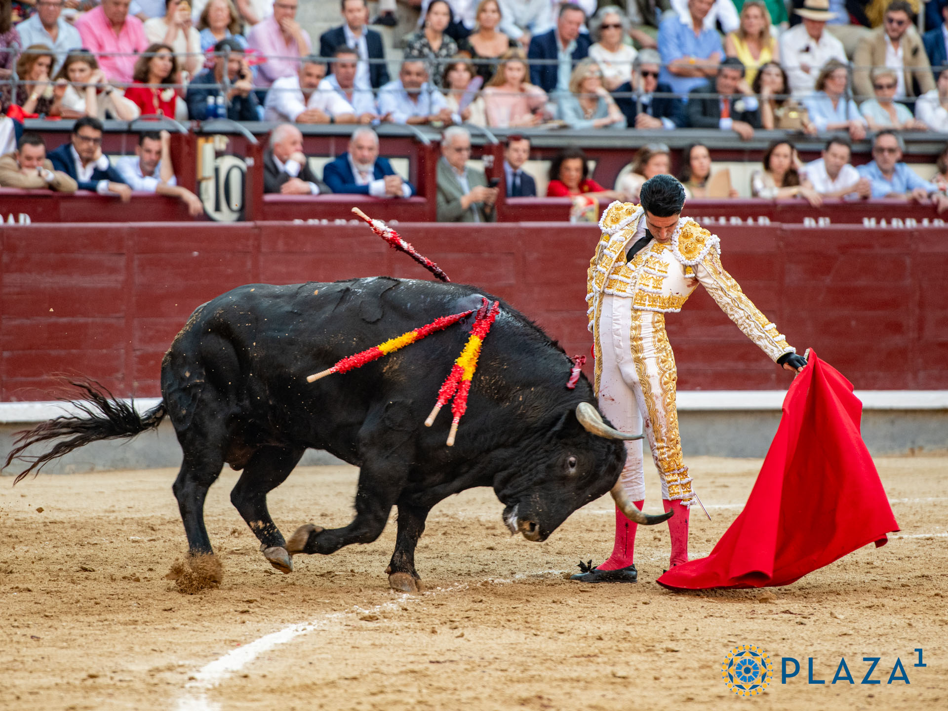 <p>Foto: Alfredo Arévalo / Plaza 1</p>