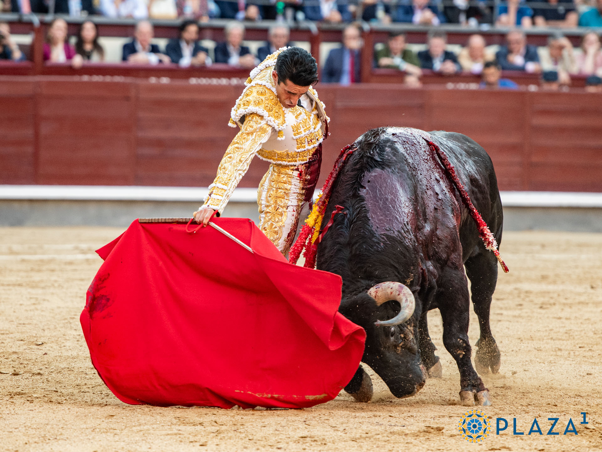 <p>Foto: Alfredo Arévalo / Plaza 1</p>
