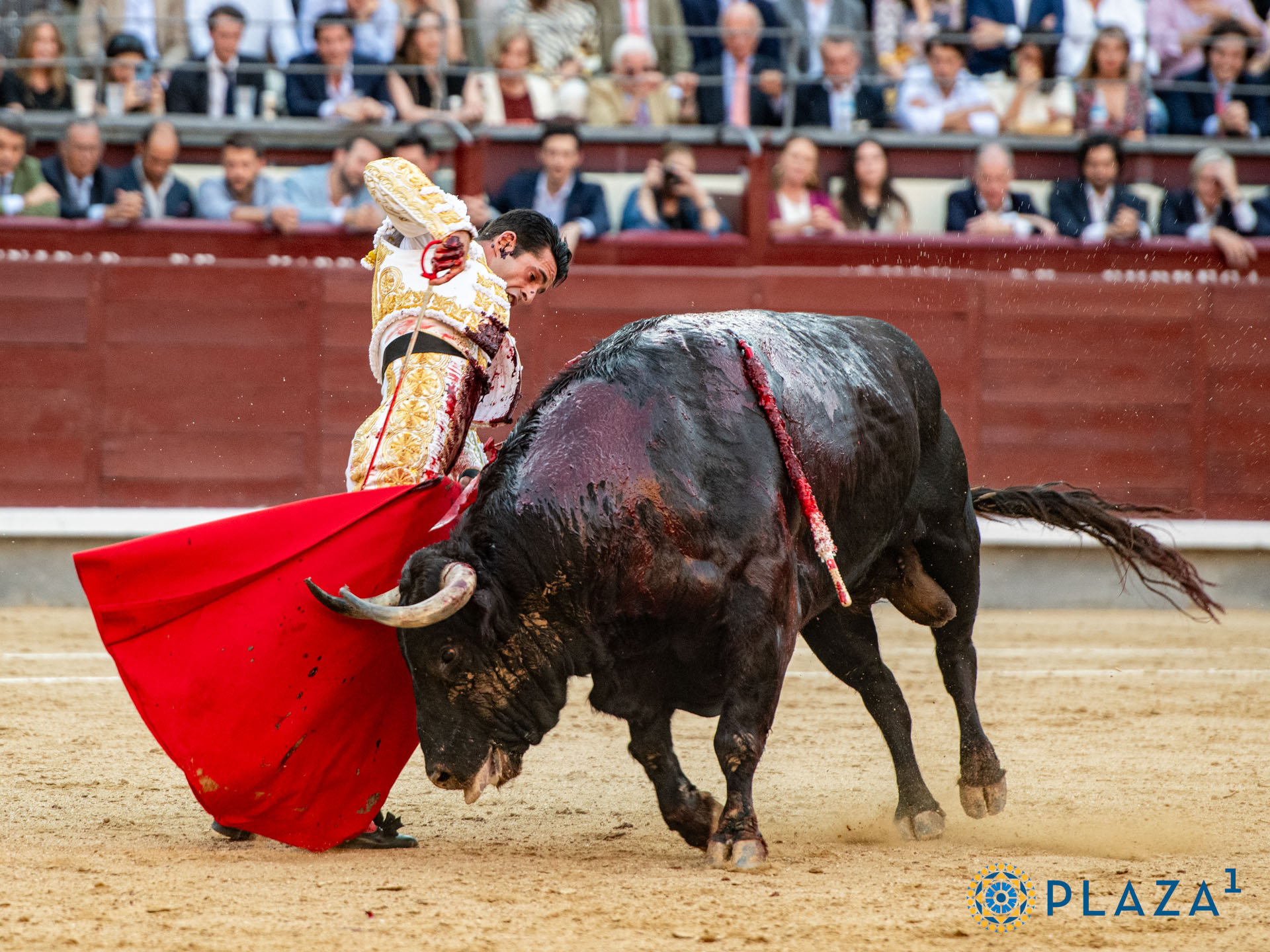 <p>Foto: Alfredo Arévalo / Plaza 1</p>