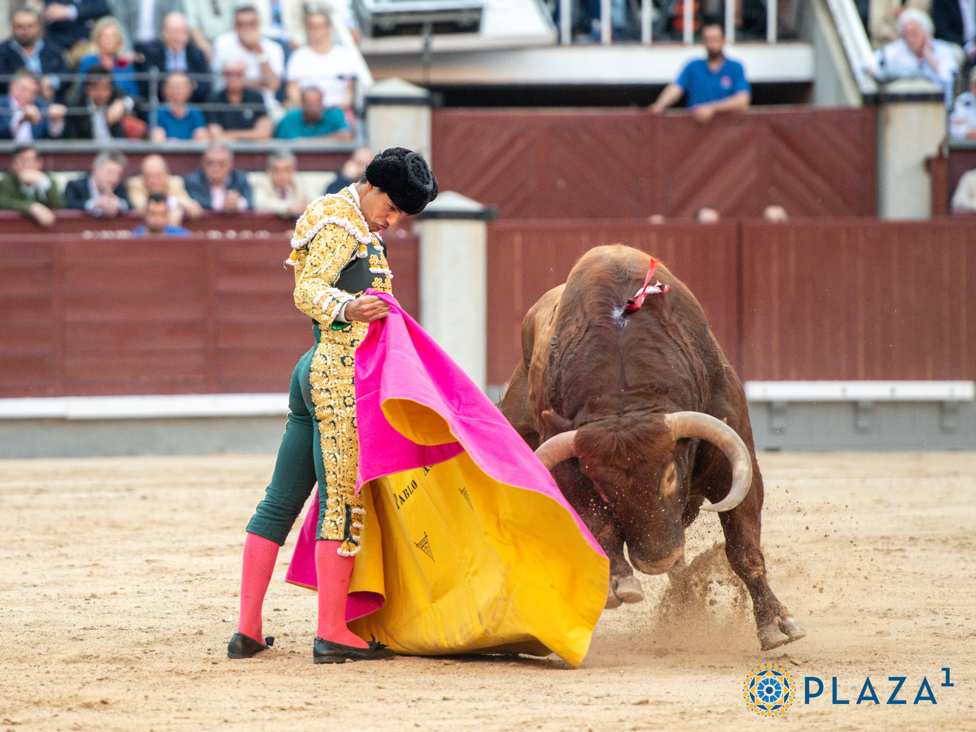 <p>Foto: Alfredo Arévalo / Plaza 1</p>
