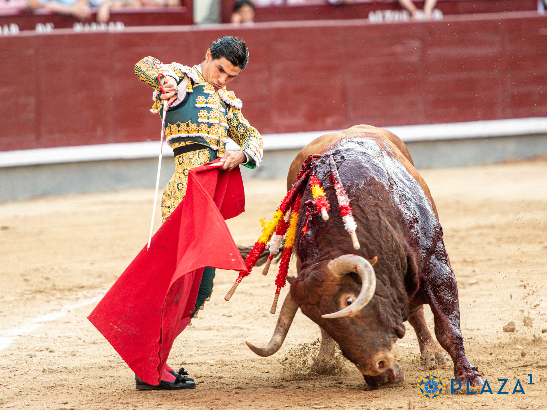 <p>Foto: Alfredo Arévalo / Plaza 1</p>