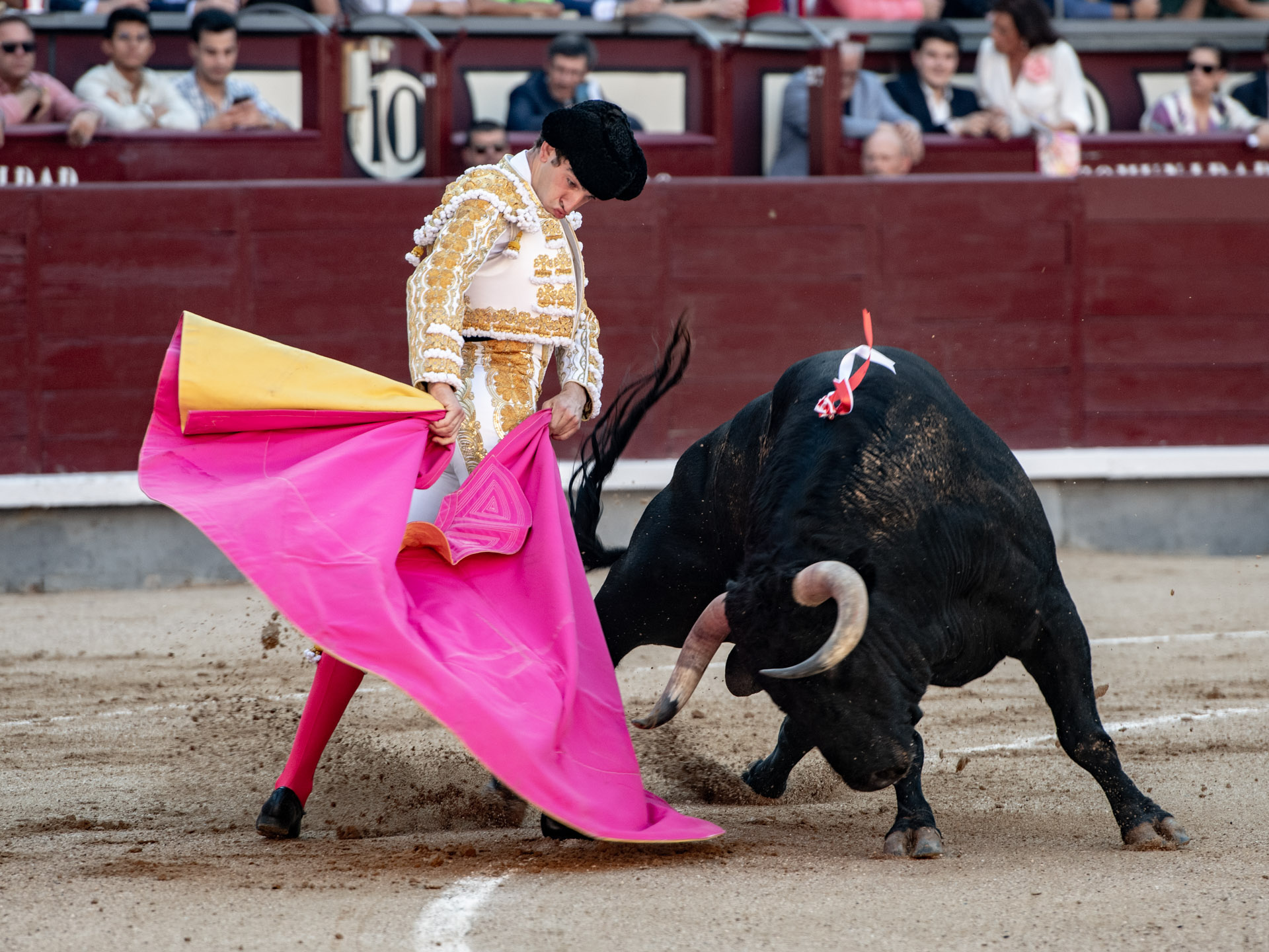 <p>Foto: Alfredo Arévalo / Plaza 1</p>