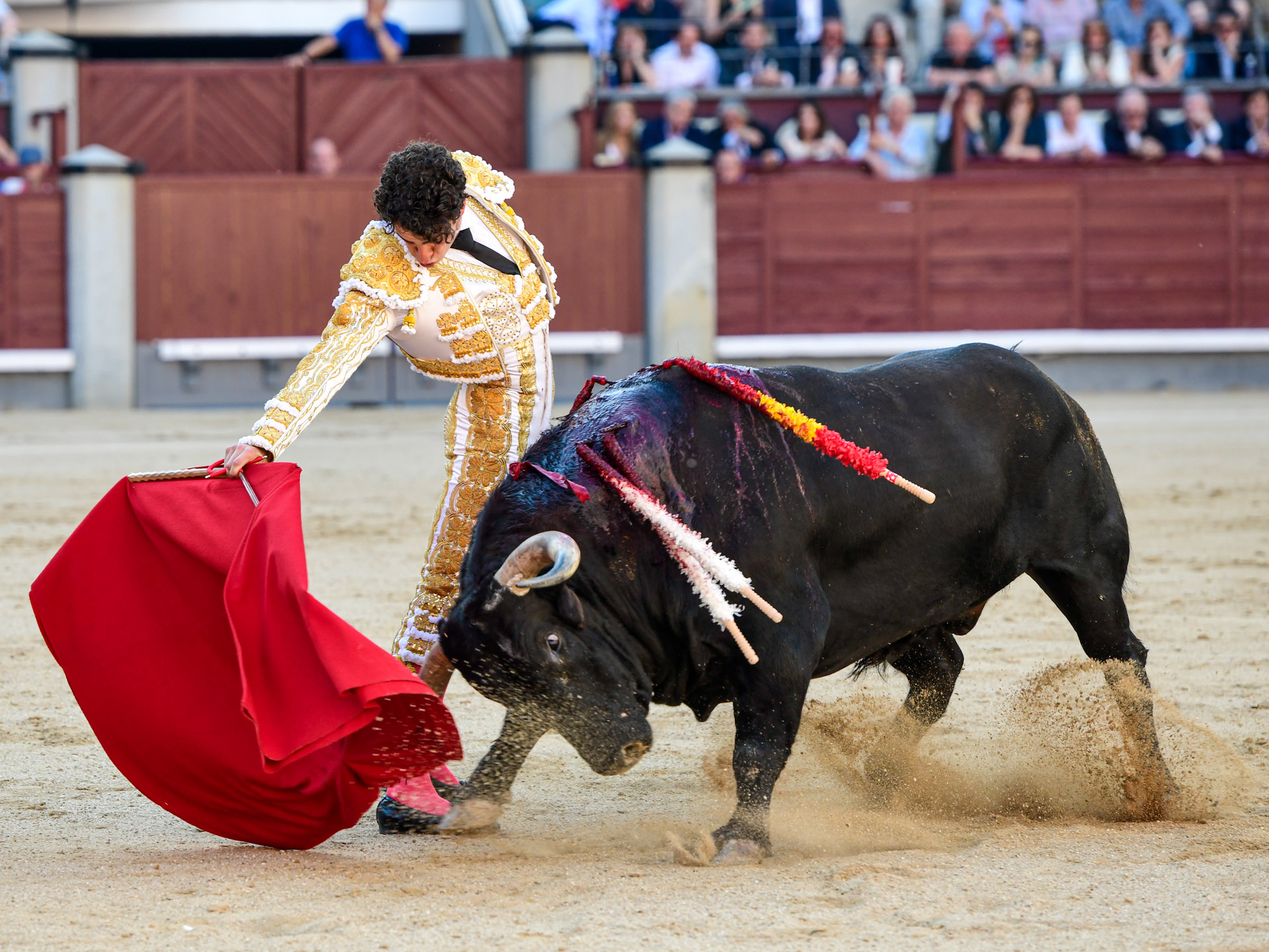 <p>Foto: Alfredo Arévalo / Plaza 1</p>