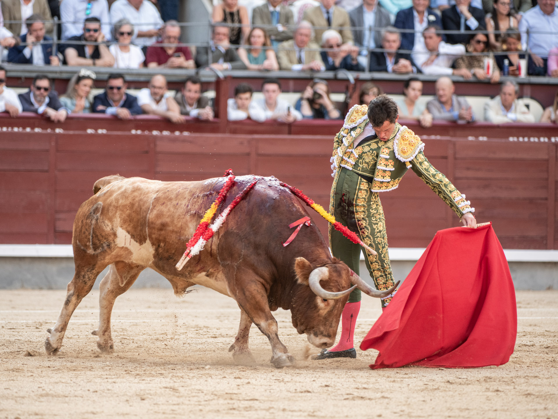 <p>Foto: Alfredo Arévalo / Plaza 1</p>