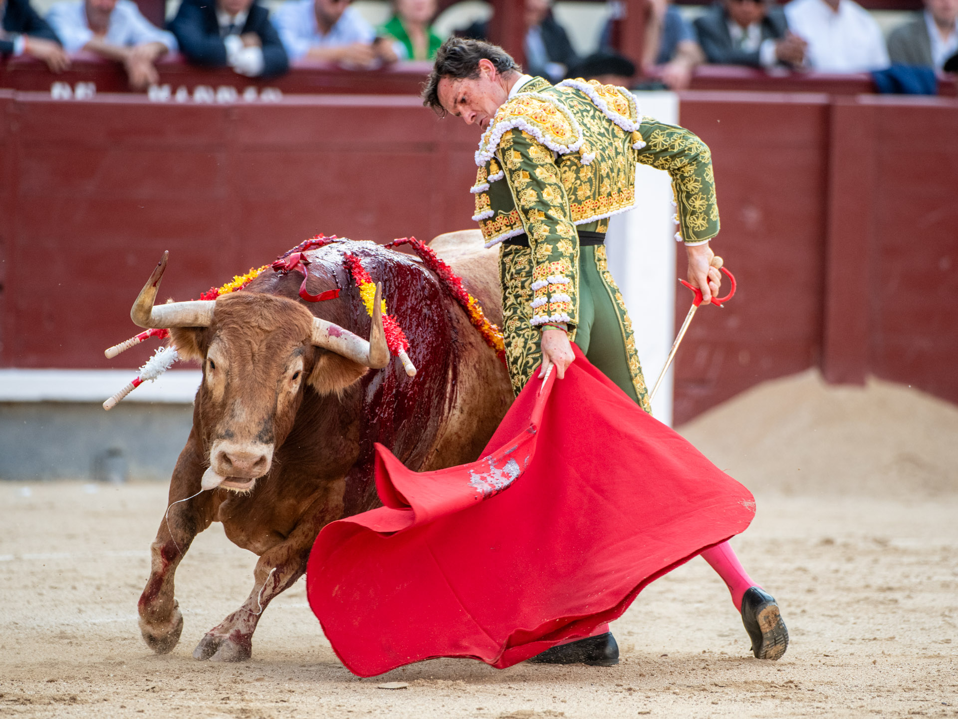 <p>Foto: Alfredo Arévalo / Plaza 1</p>