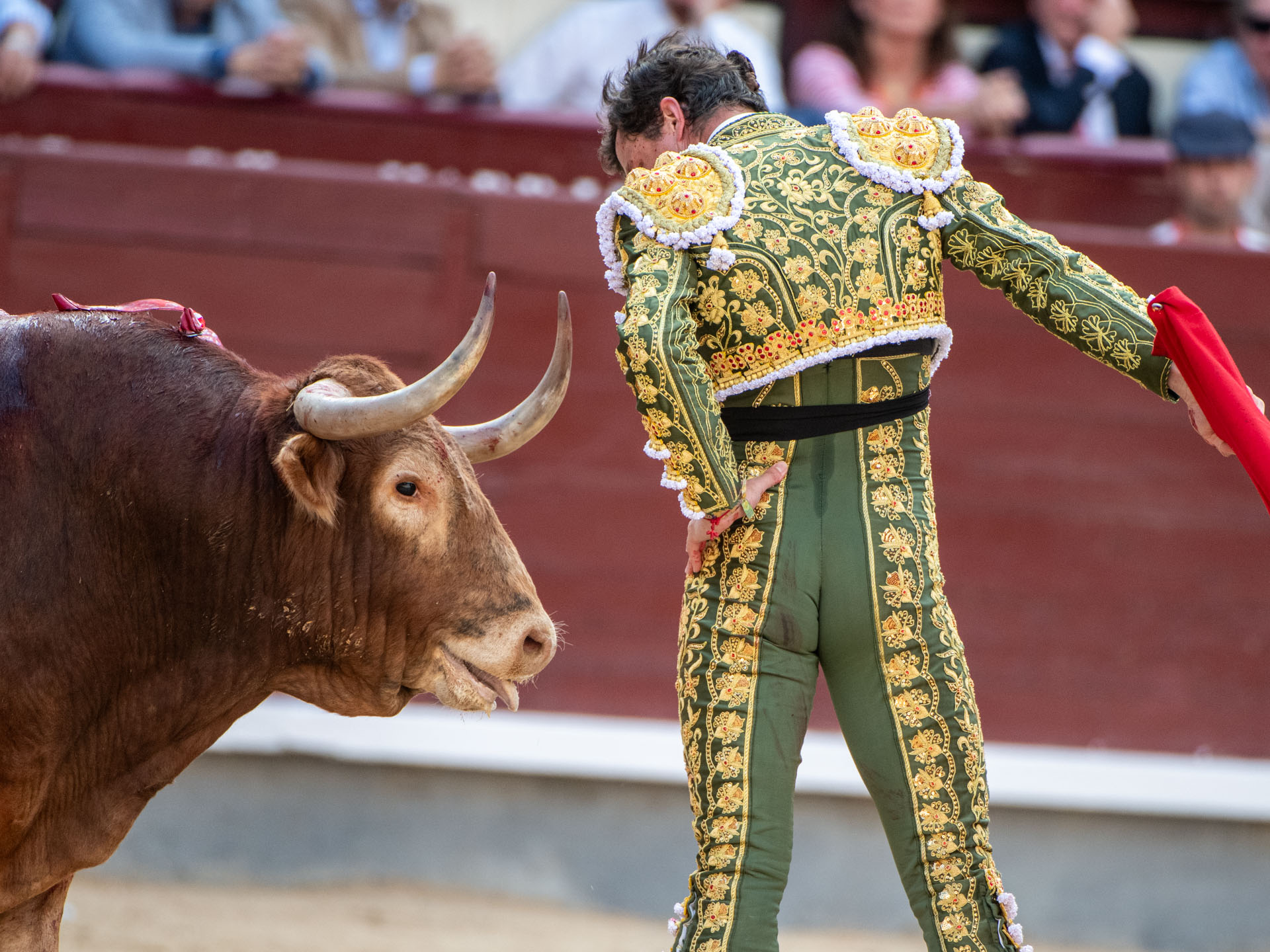 <p>Foto: Alfredo Arévalo / Plaza 1</p>