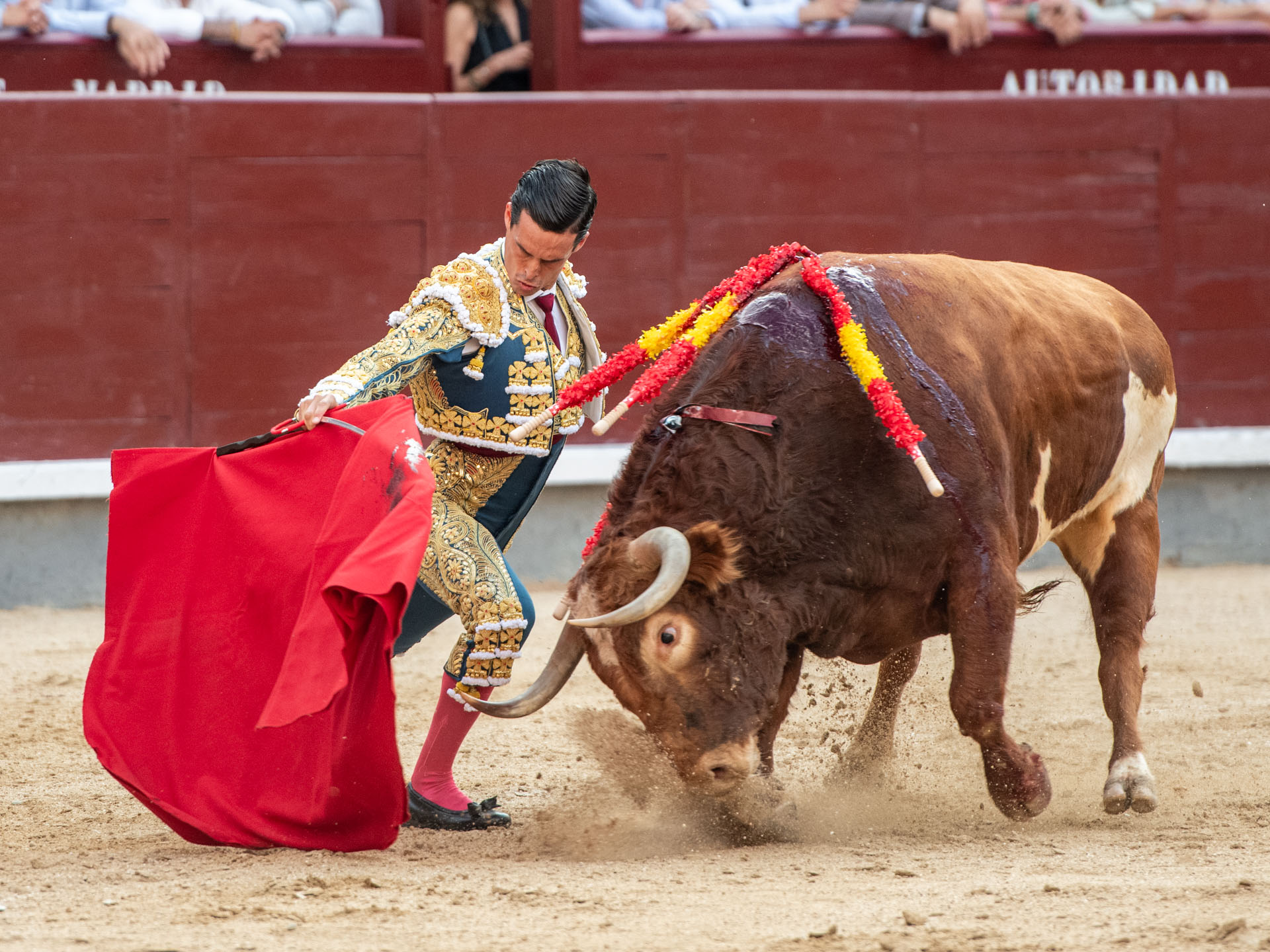 <p>Foto: Alfredo Arévalo / Plaza 1</p>