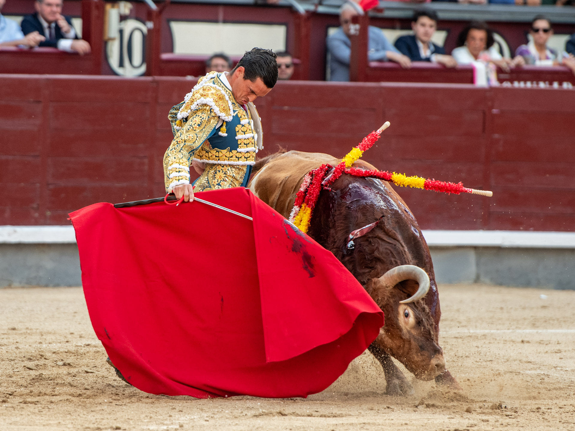 <p>Foto: Alfredo Arévalo / Plaza 1</p>