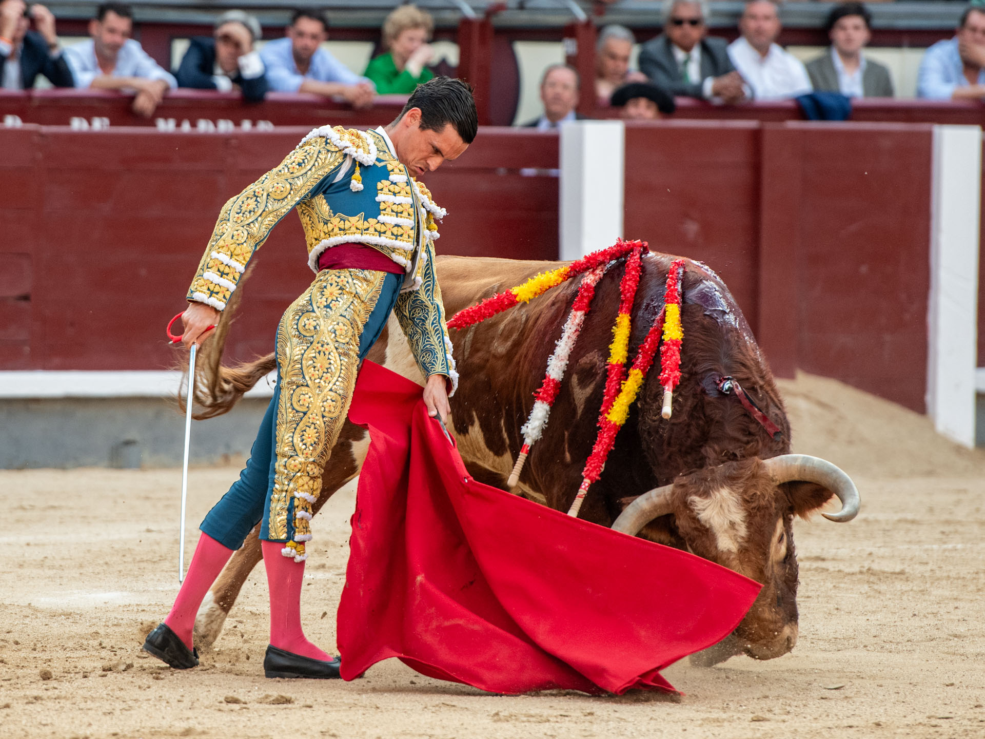 <p>Foto: Alfredo Arévalo / Plaza 1</p>