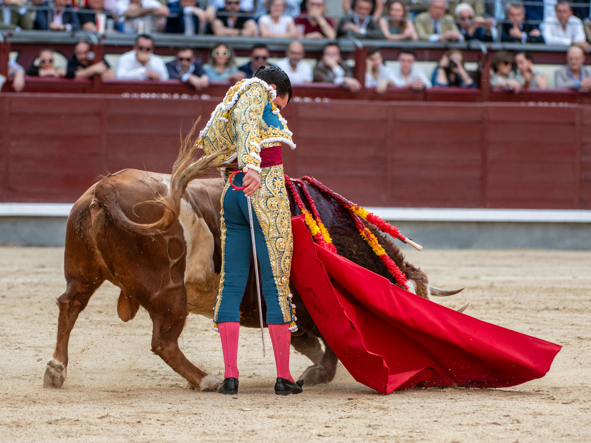 <p>Foto: Alfredo Arévalo / Plaza 1</p>