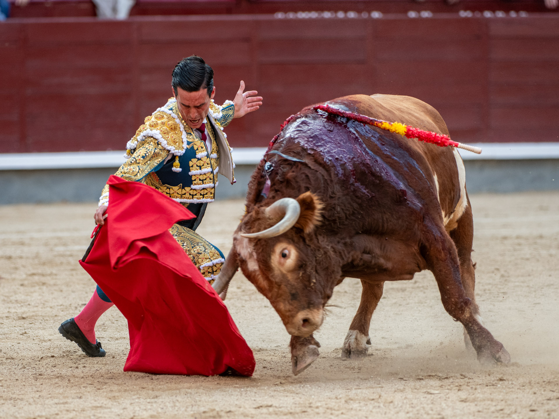 <p>Foto: Alfredo Arévalo / Plaza 1</p>