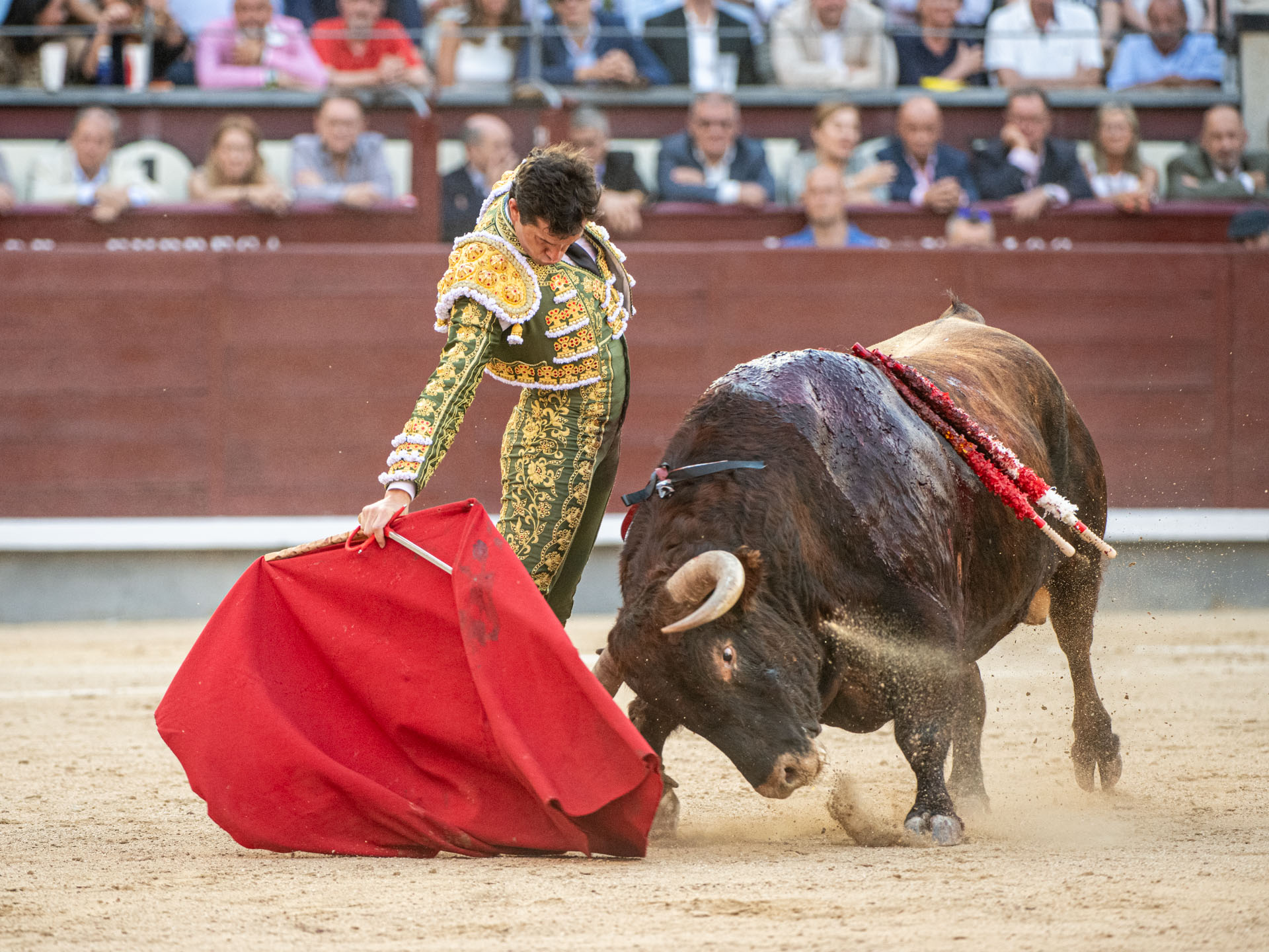 <p>Foto: Alfredo Arévalo / Plaza 1</p>