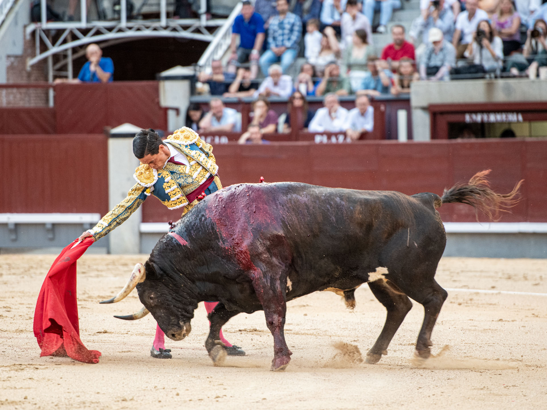 <p>Foto: Alfredo Arévalo / Plaza 1</p>