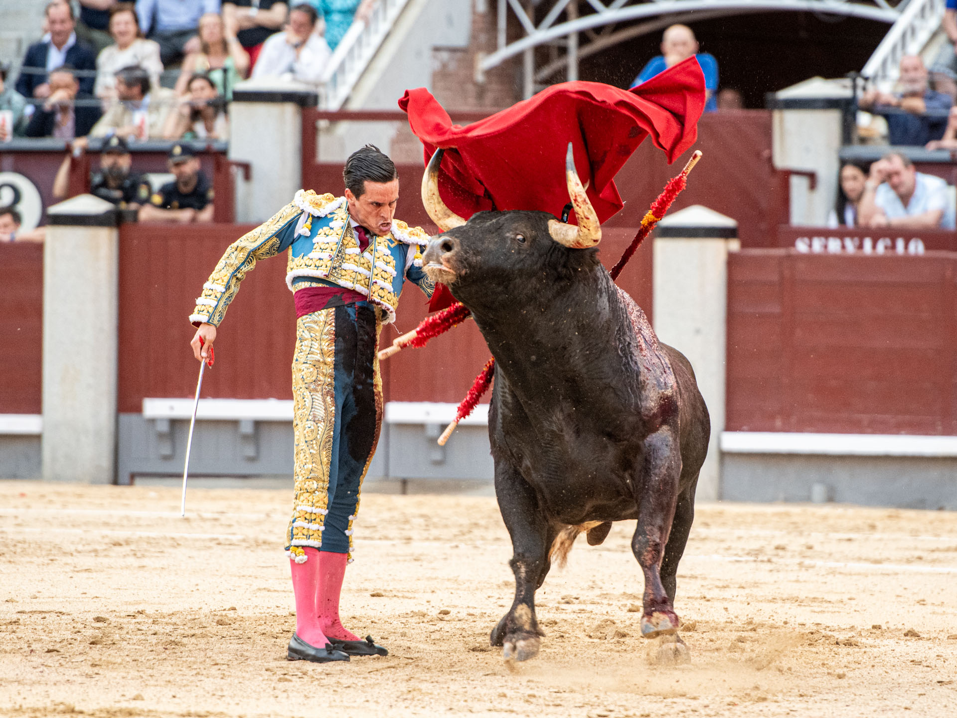 <p>Foto: Alfredo Arévalo / Plaza 1</p>