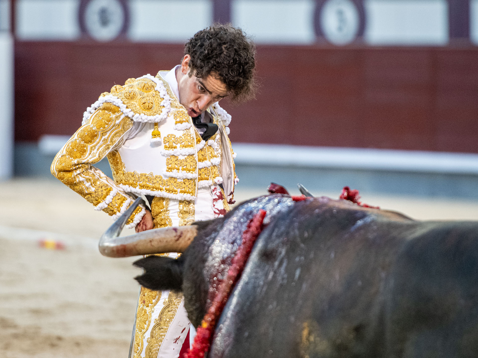 <p>Foto: Alfredo Arévalo / Plaza 1</p>