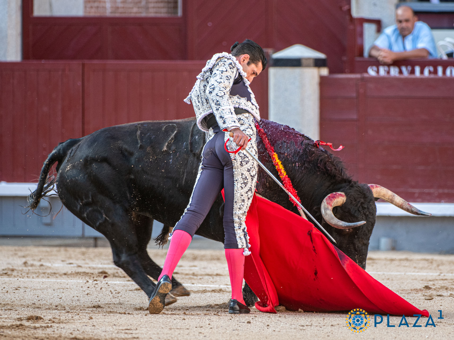 <p>Foto: Alfredo Arévalo / Plaza 1</p>