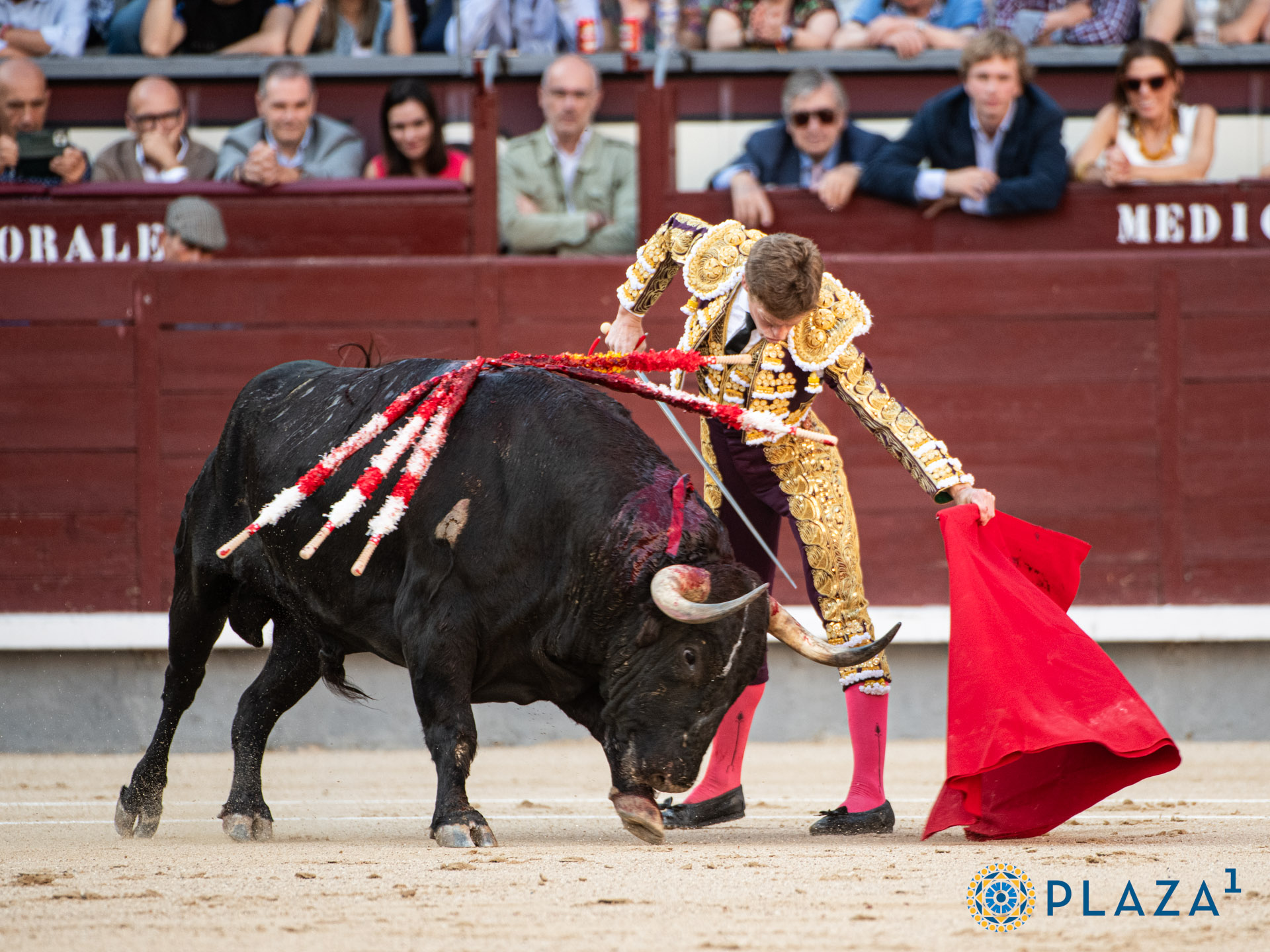 <p>Foto: Alfredo Arévalo / Plaza 1</p>