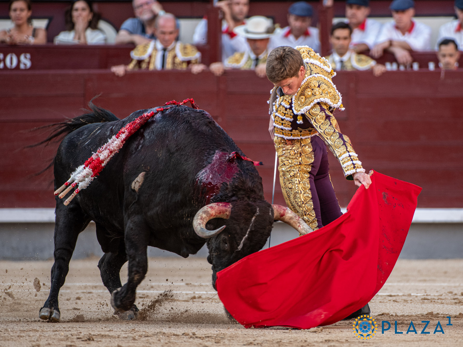 <p>Foto: Alfredo Arévalo / Plaza 1</p>
