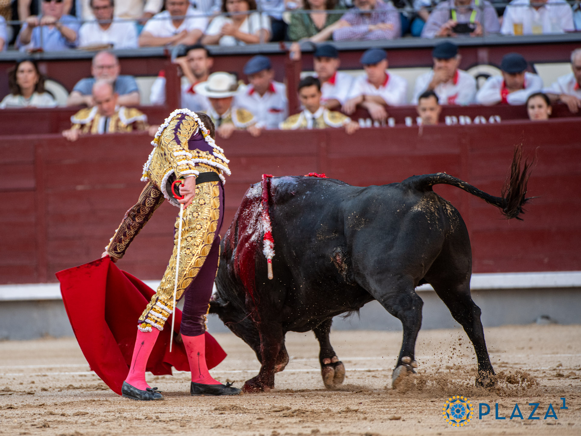 <p>Foto: Alfredo Arévalo / Plaza 1</p>