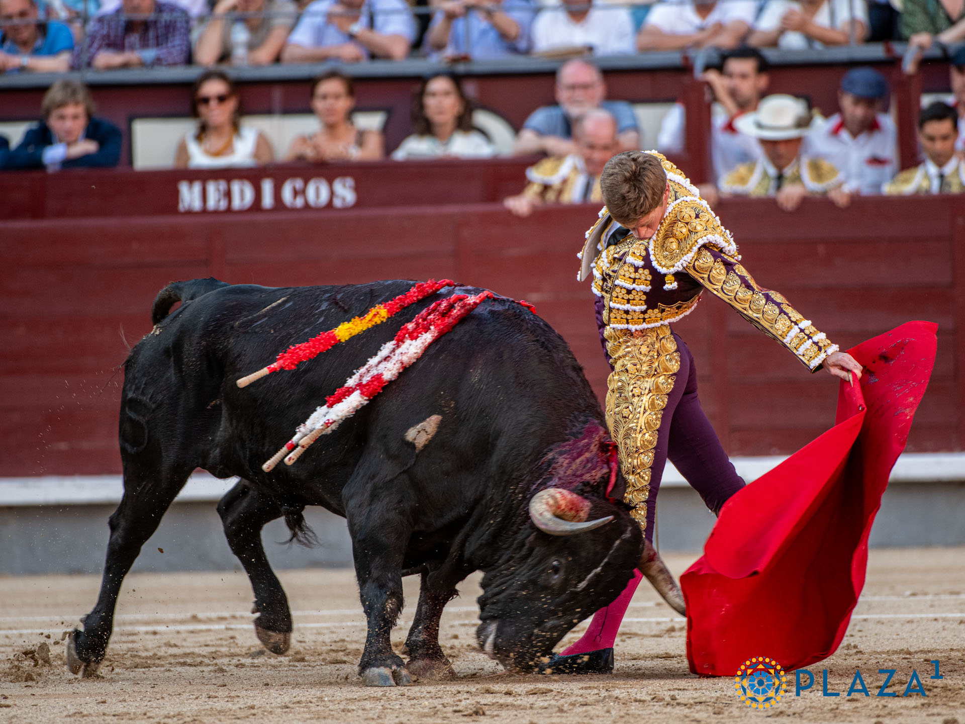 <p>Foto: Alfredo Arévalo / Plaza 1</p>