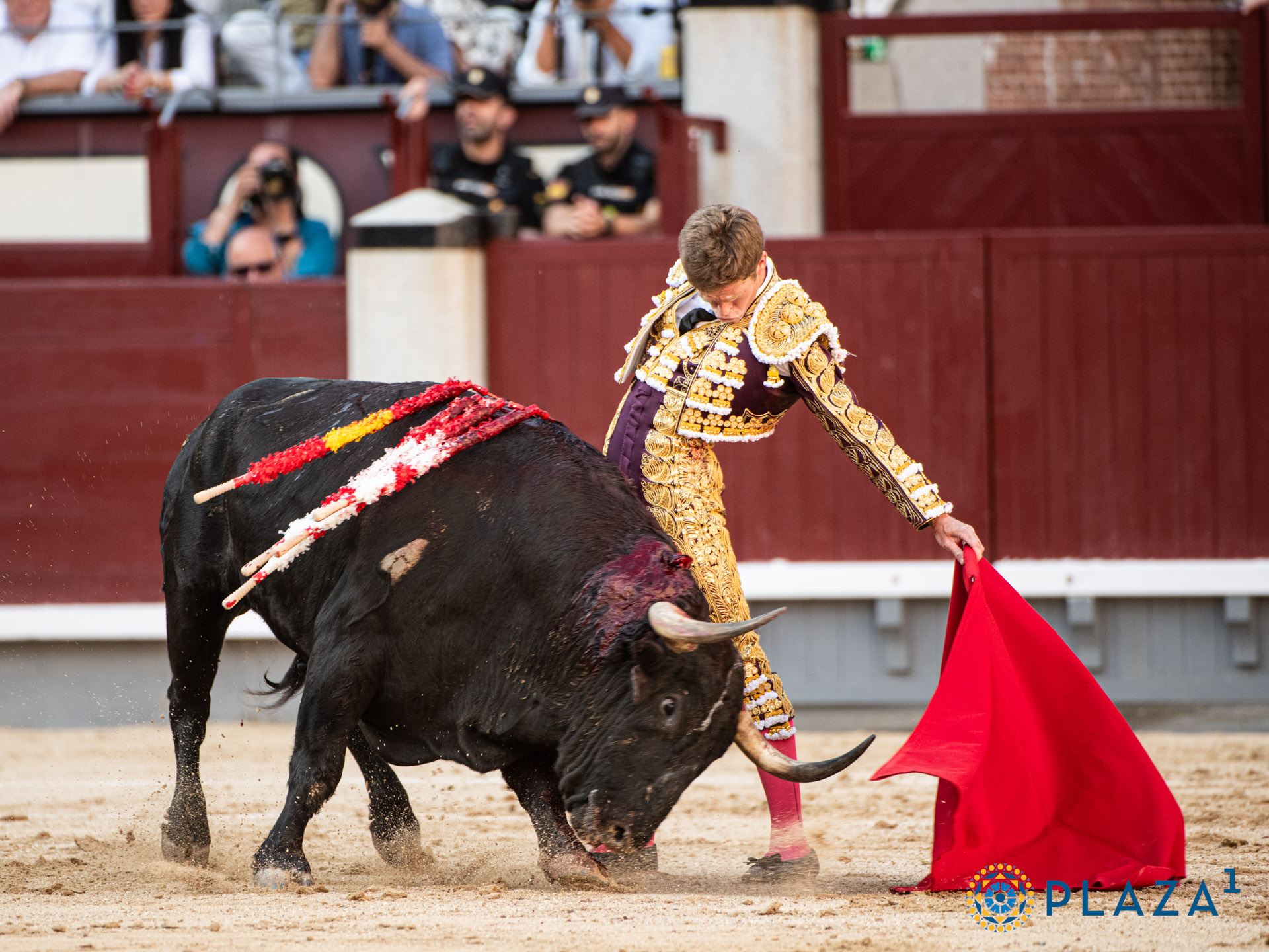 <p>Foto: Alfredo Arévalo / Plaza 1</p>