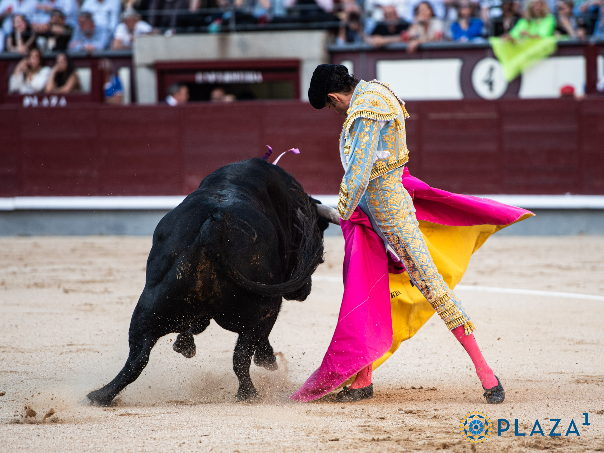 <p>Foto: Alfredo Arévalo / Plaza 1</p>