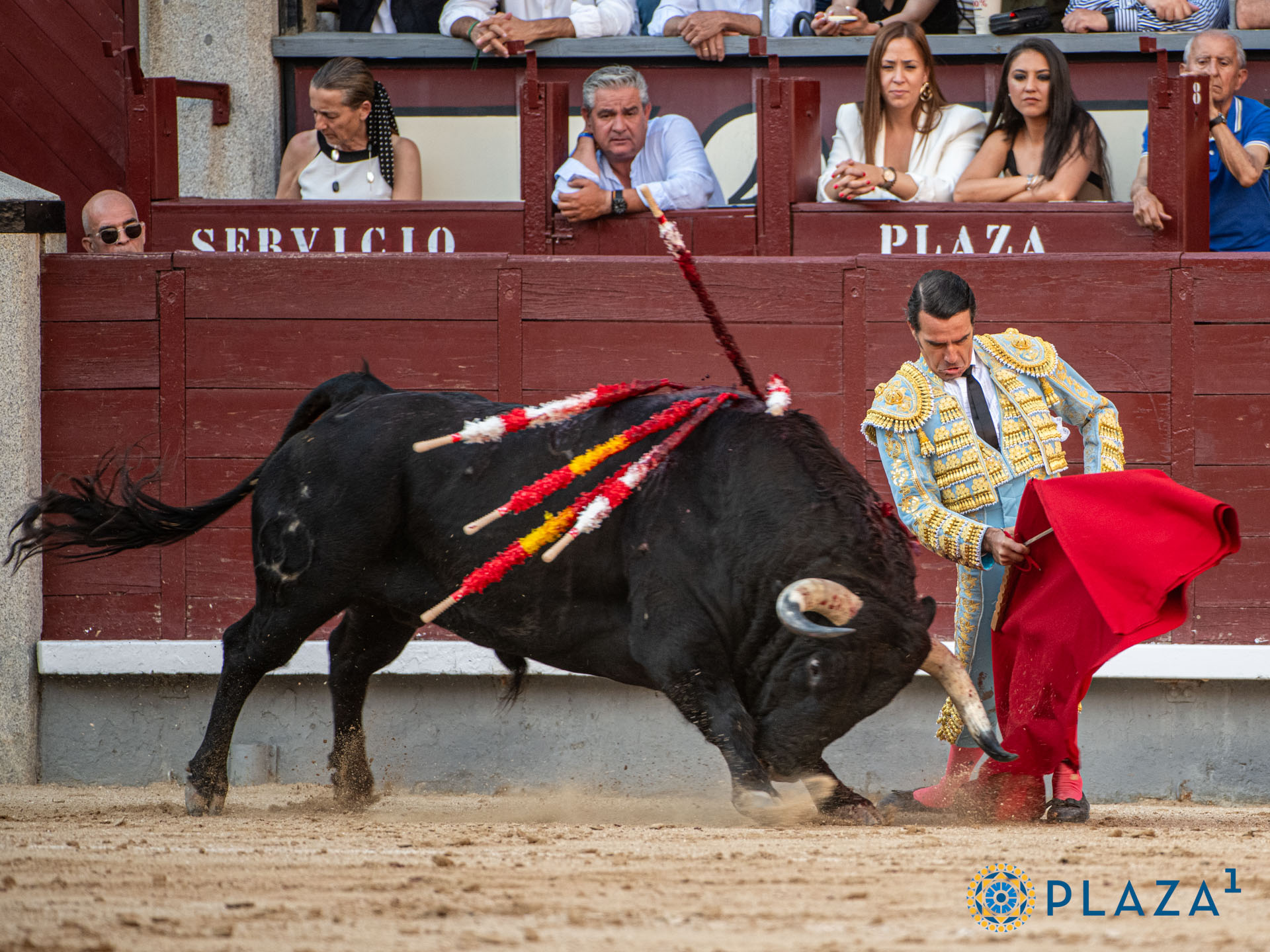 <p>Foto: Alfredo Arévalo / Plaza 1</p>