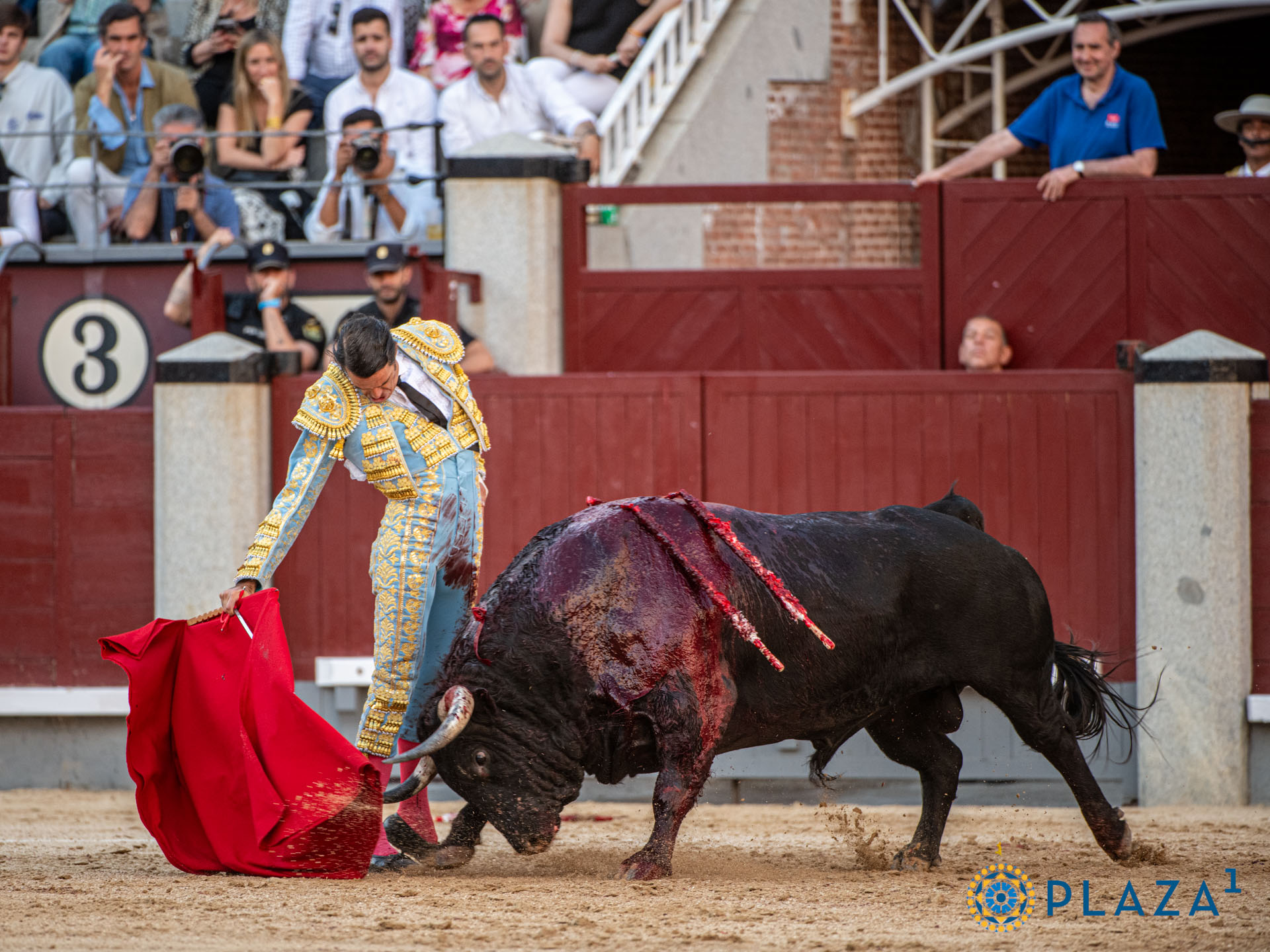 <p>Foto: Alfredo Arévalo / Plaza 1</p>