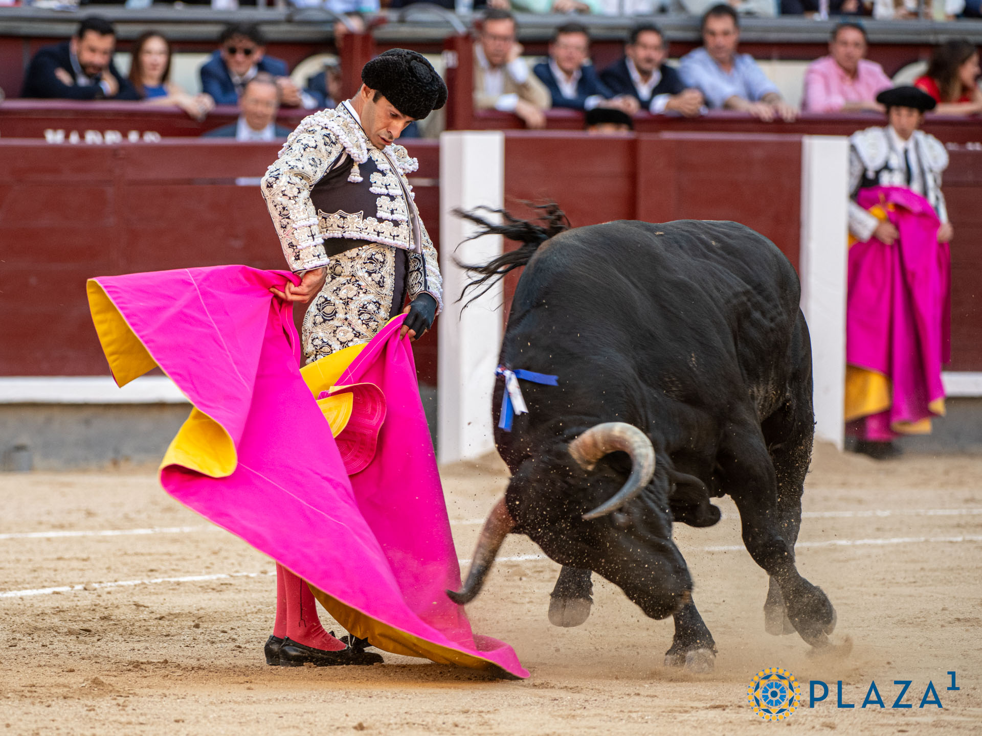 <p>Foto: Alfredo Arévalo / Plaza 1</p>