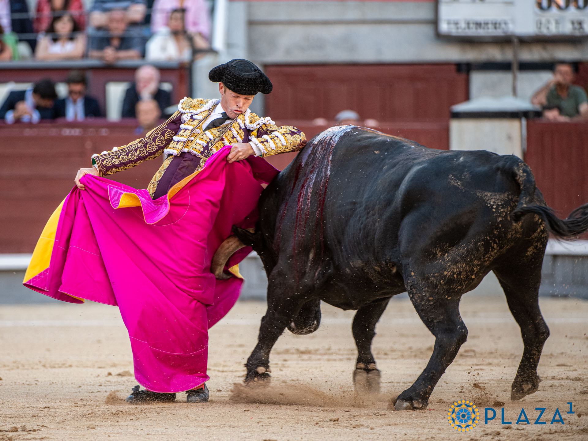 <p>Foto: Alfredo Arévalo / Plaza 1</p>