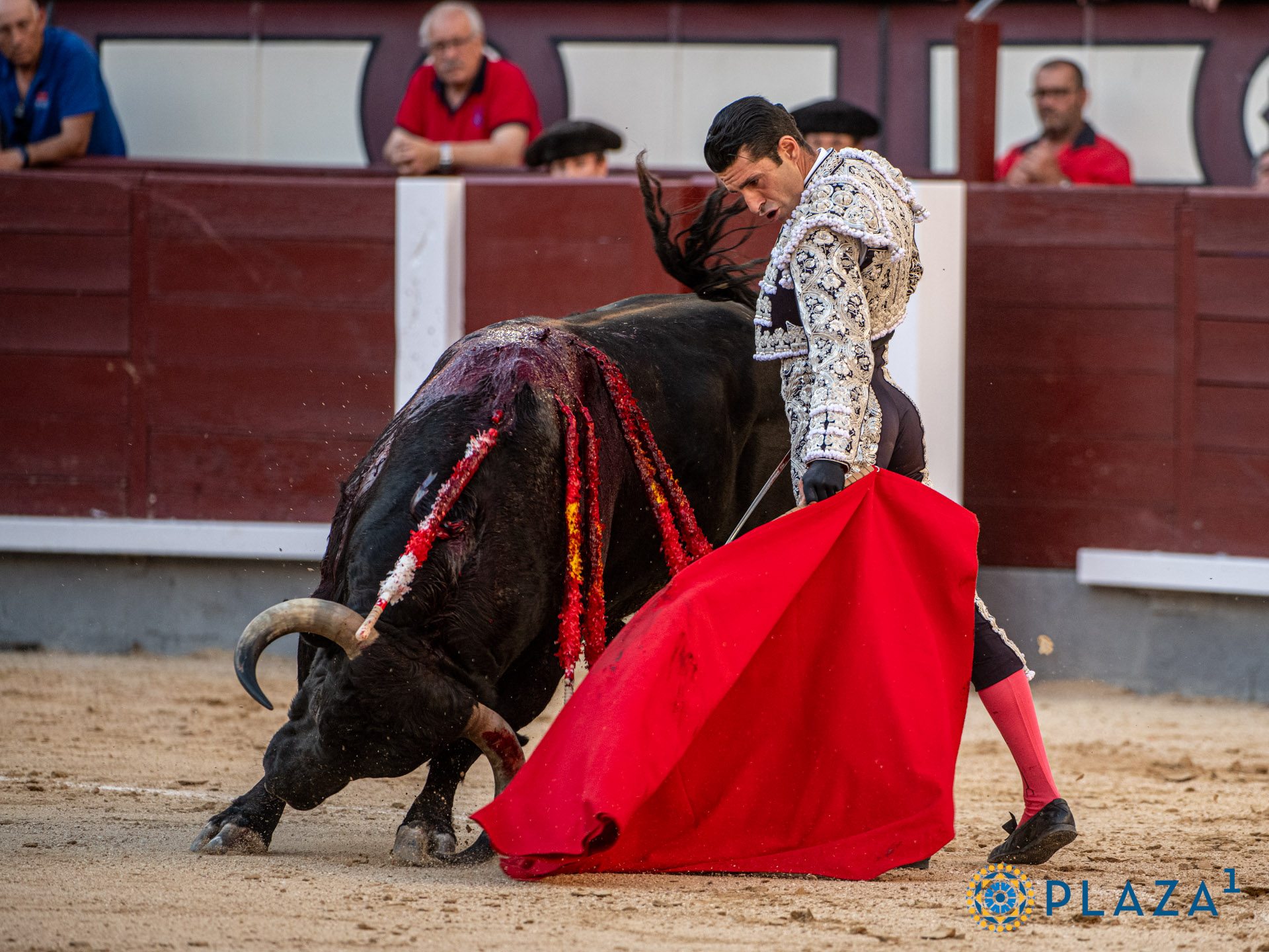 <p>Foto: Alfredo Arévalo / Plaza 1</p>