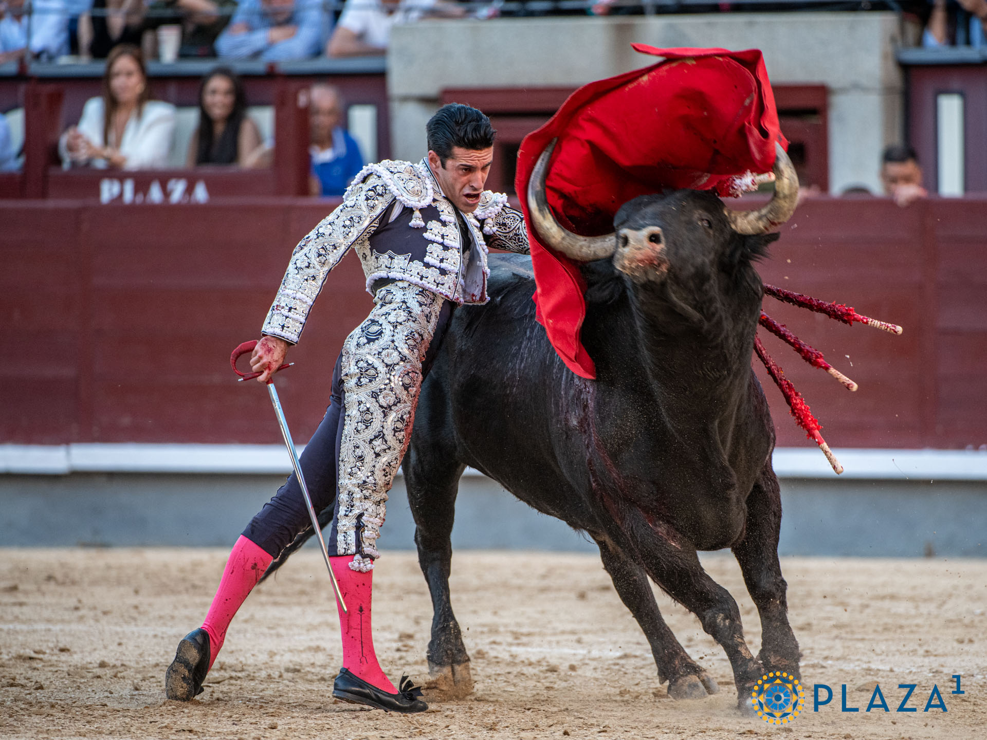 <p>Foto: Alfredo Arévalo / Plaza 1</p>