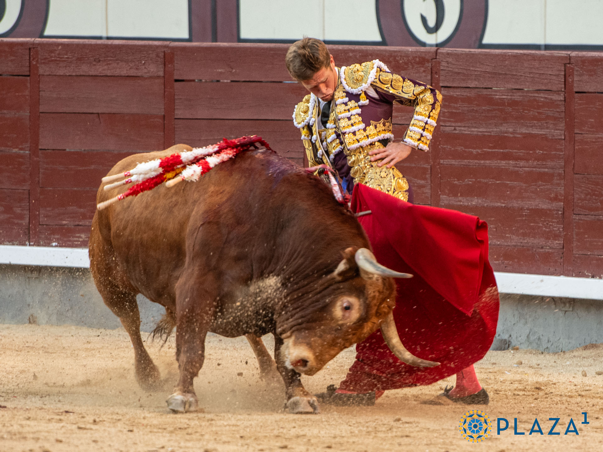 <p>Foto: Alfredo Arévalo / Plaza 1</p>