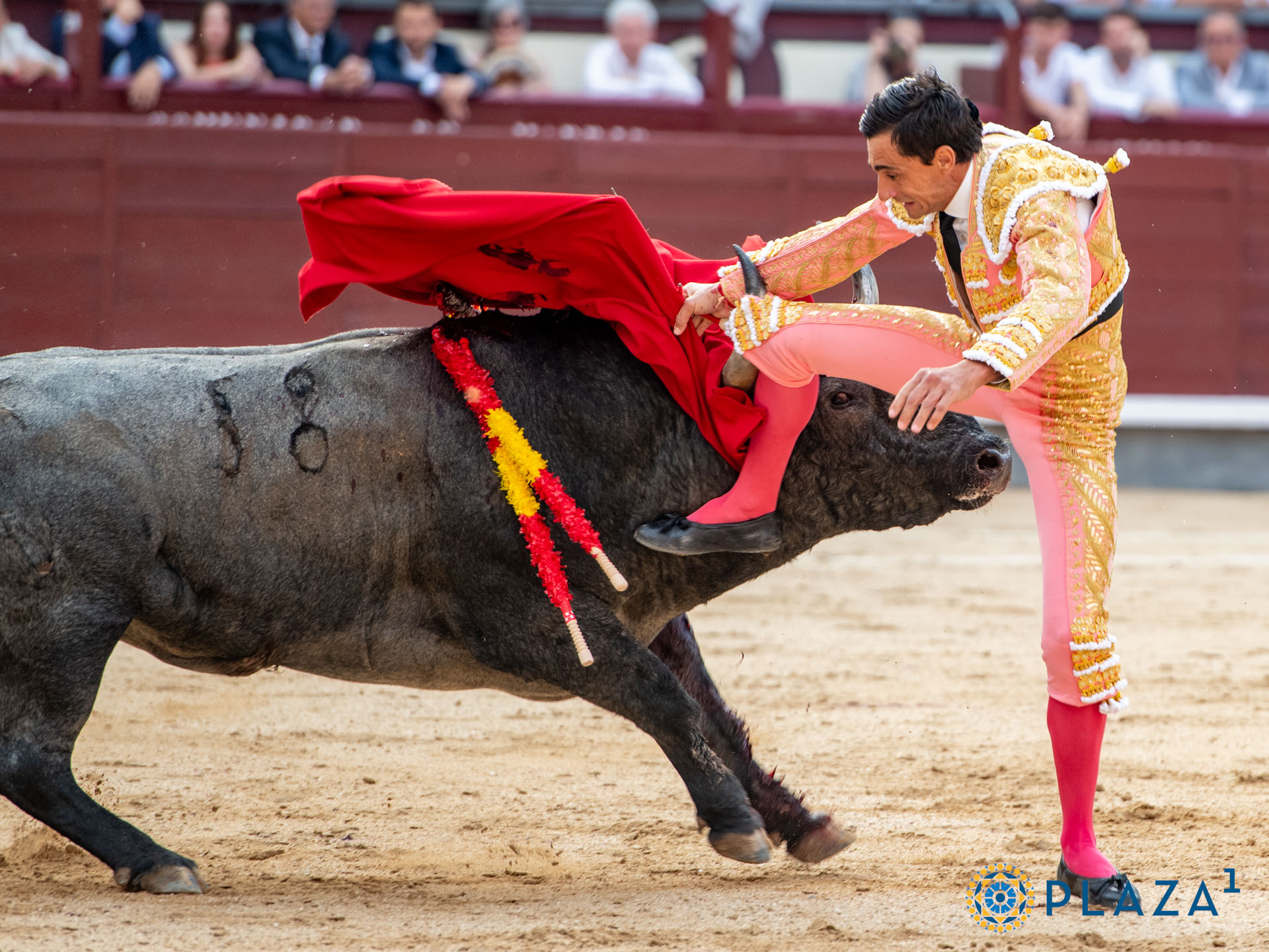 <p>Foto: Alfredo Arévalo / Plaza 1</p>