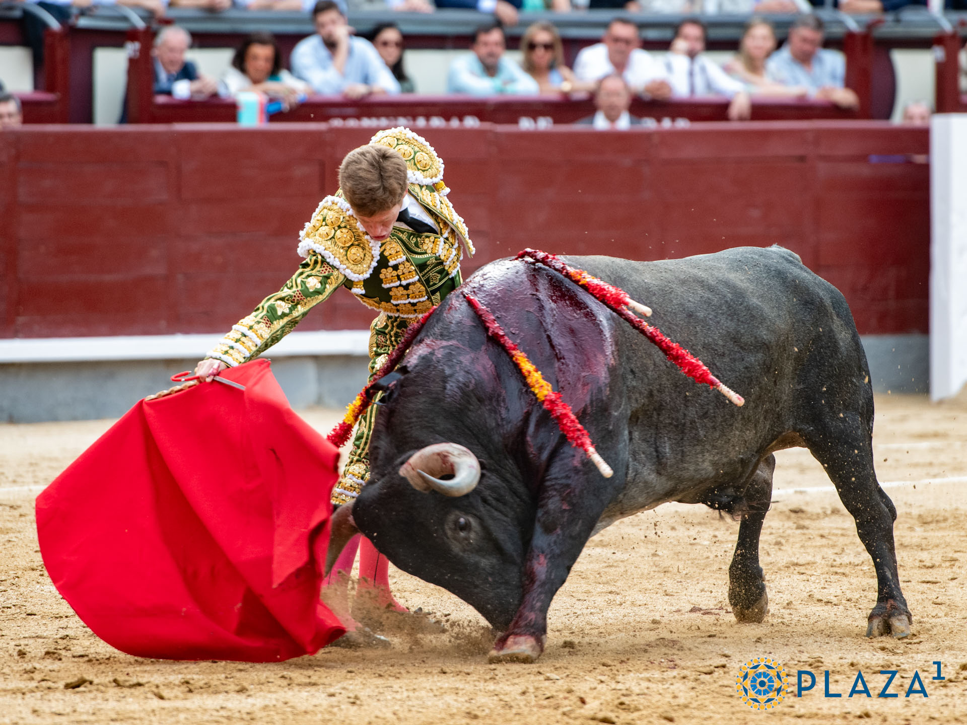 <p>Foto: Alfredo Arévalo / Plaza 1</p>