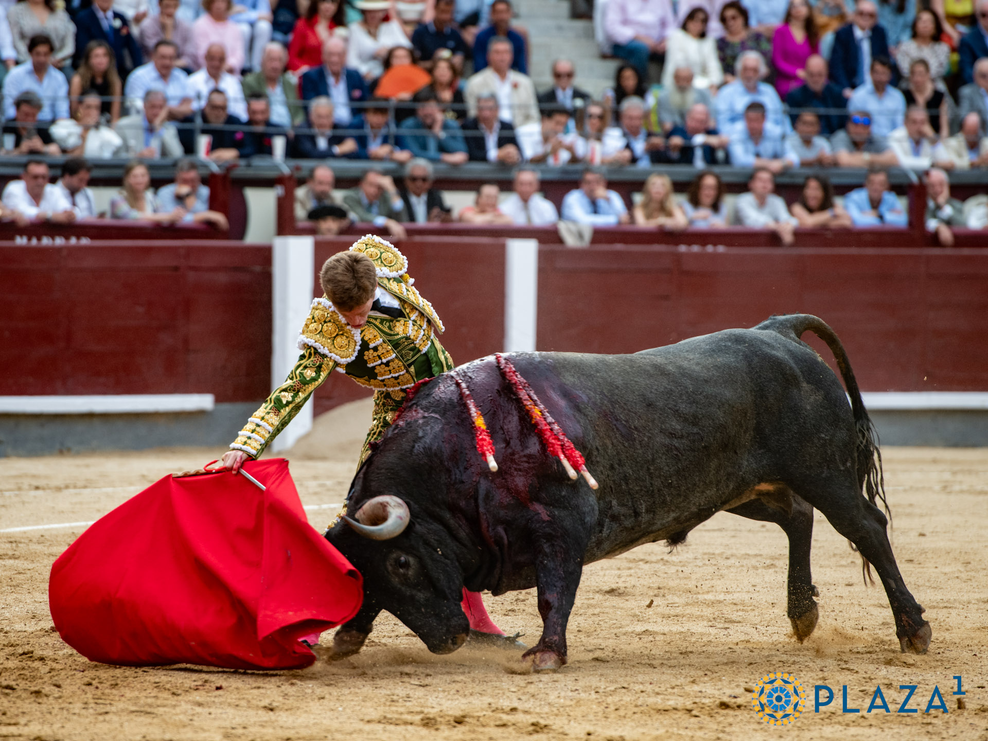 <p>Foto: Alfredo Arévalo / Plaza 1</p>