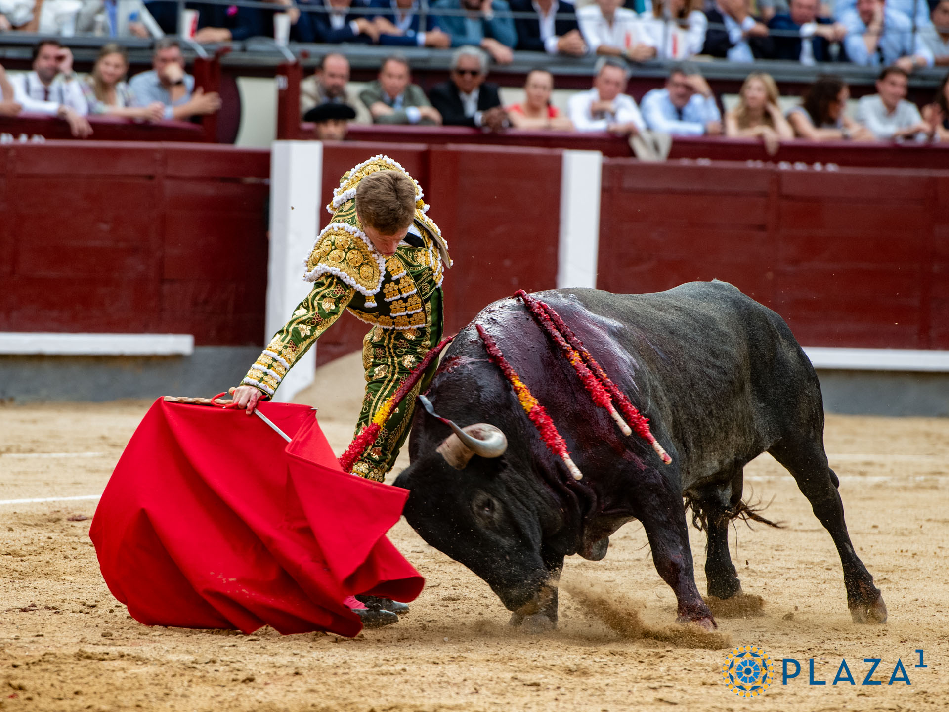 <p>Foto: Alfredo Arévalo / Plaza 1</p>